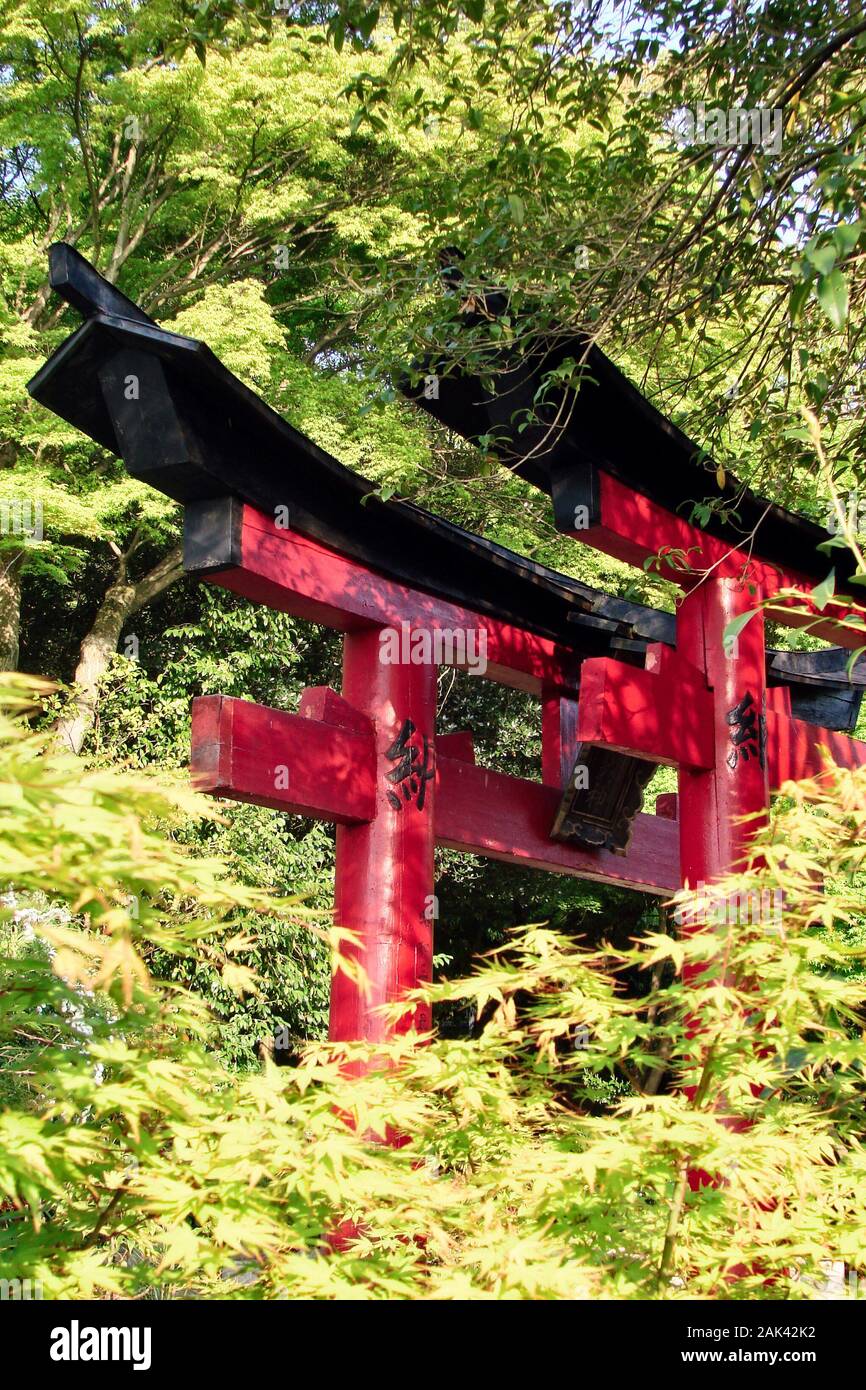 Red torii gates nascosto nel fogliame a Fushimi Inari santuario vicino a Kyoto, Giappone Foto Stock