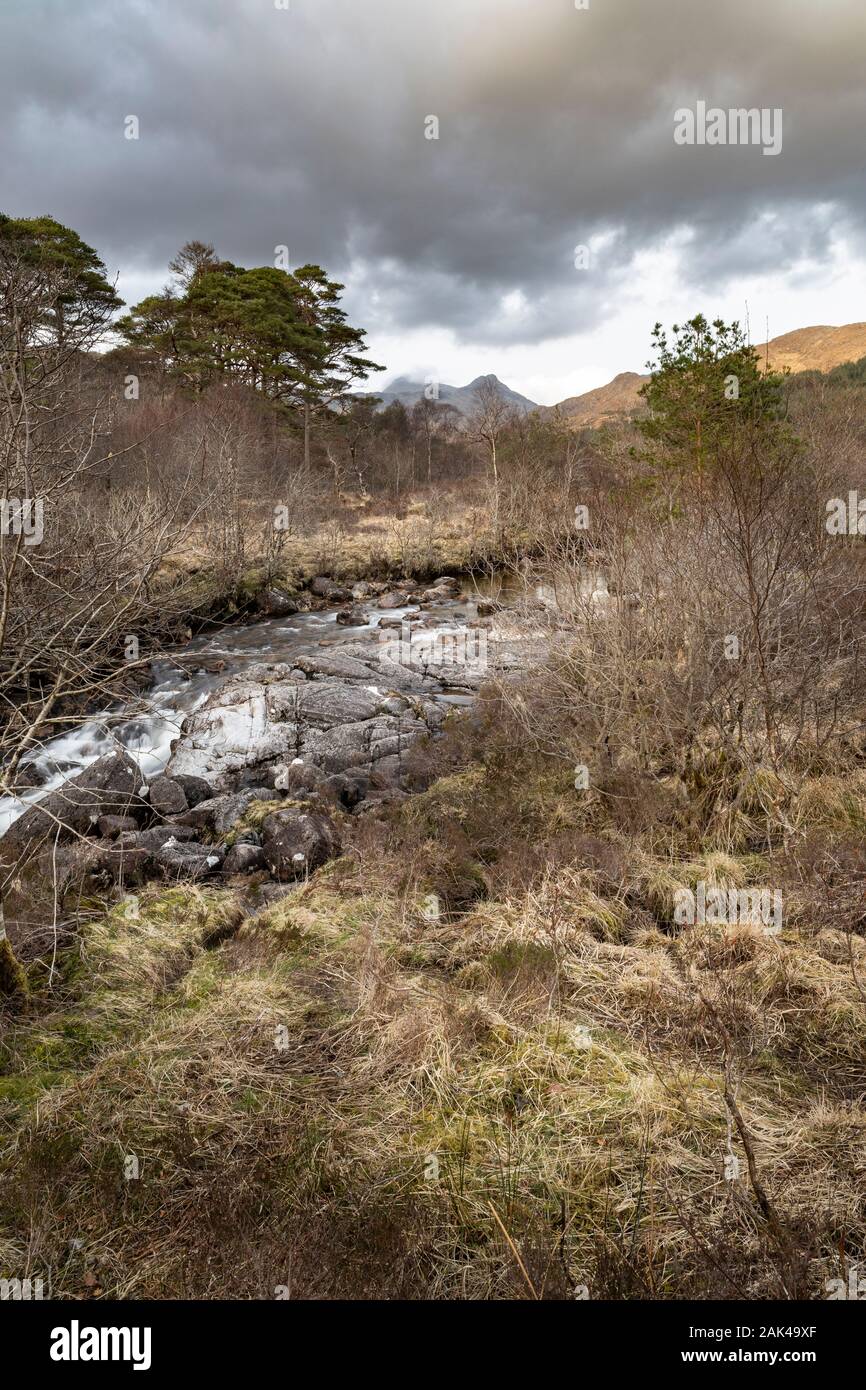 Strontian River a Ariundle Riserva Naturale Nazionale in Scozia. Foto Stock