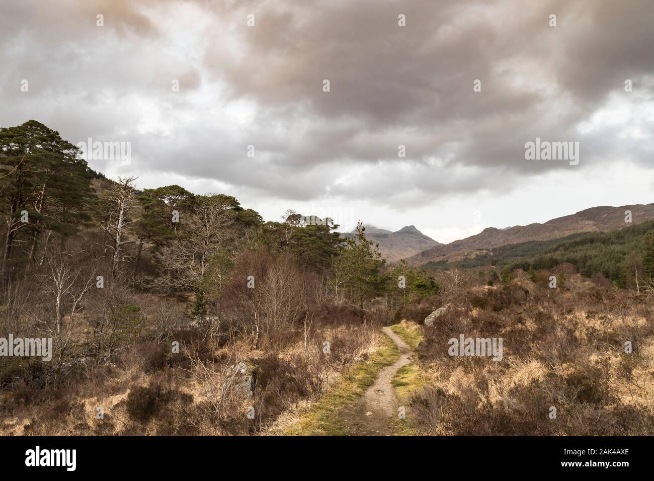 Fate a piedi a Ariundle Riserva Naturale Nazionale nei pressi di stronzio in Scozia. Foto Stock