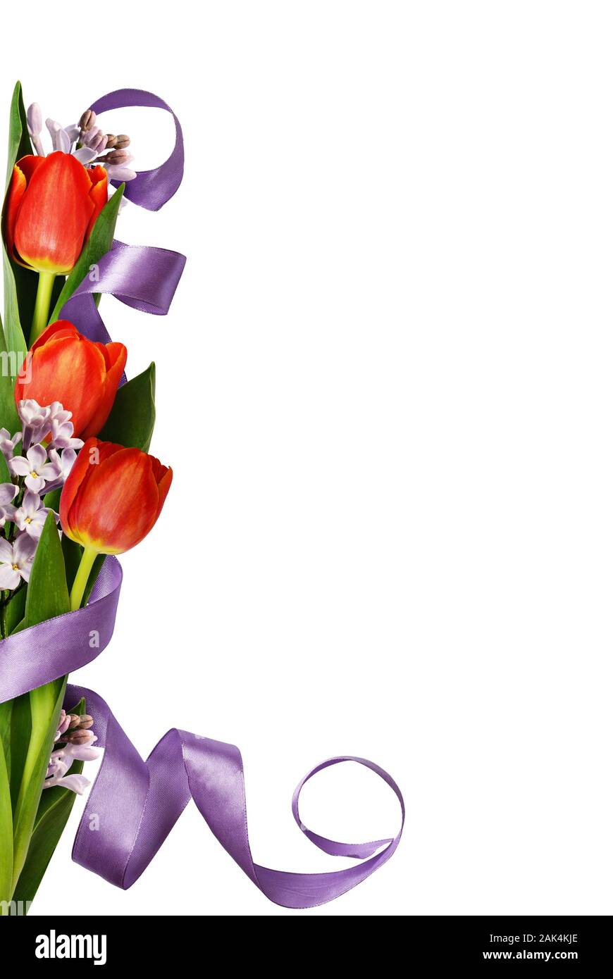 Tulipani rossi con fiori lilla e nastro di seta in angolo sistemazione molla isolati su sfondo bianco Foto Stock