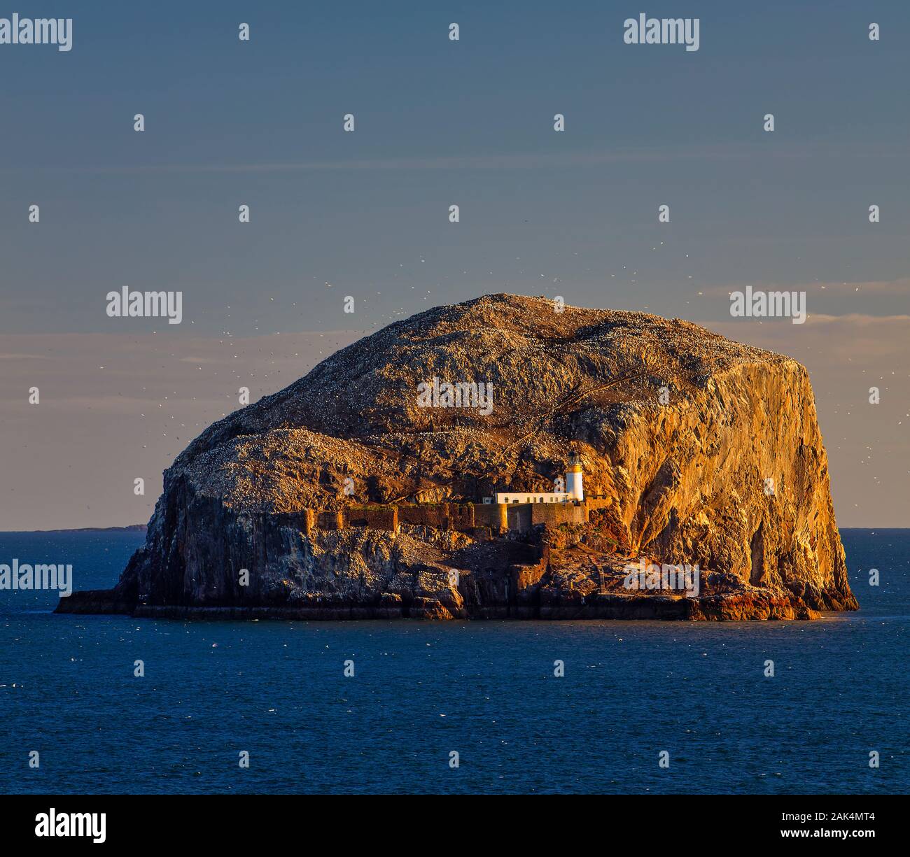 Un tempo estivo vista di Bass Rock all'alba da North Berwick, East Lothian, Scozia, Regno Unito Foto Stock