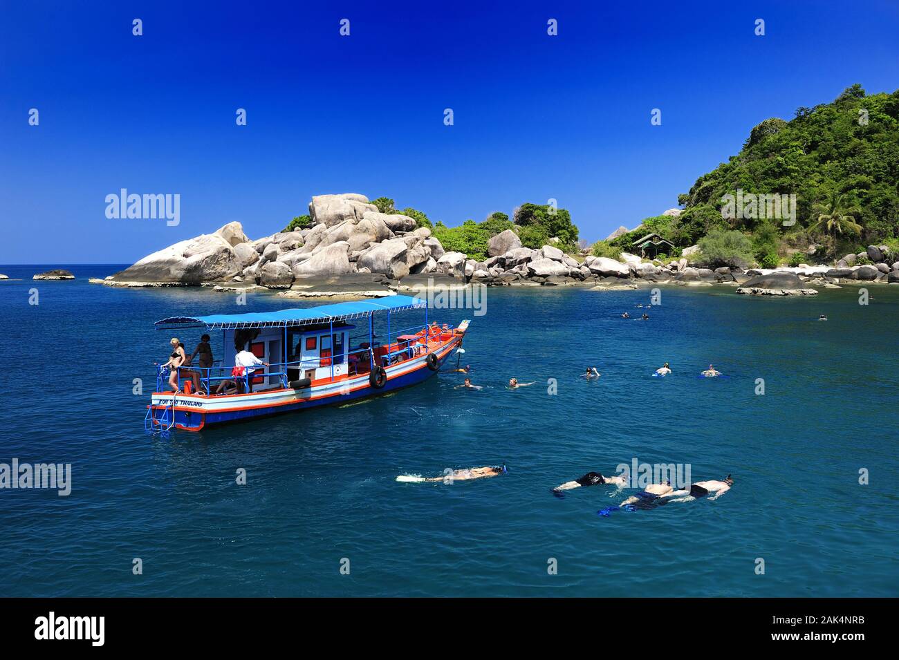Insel Koh Tao: Taucher in der Hin Wong Bay, Tailandia | Utilizzo di tutto il mondo Foto Stock