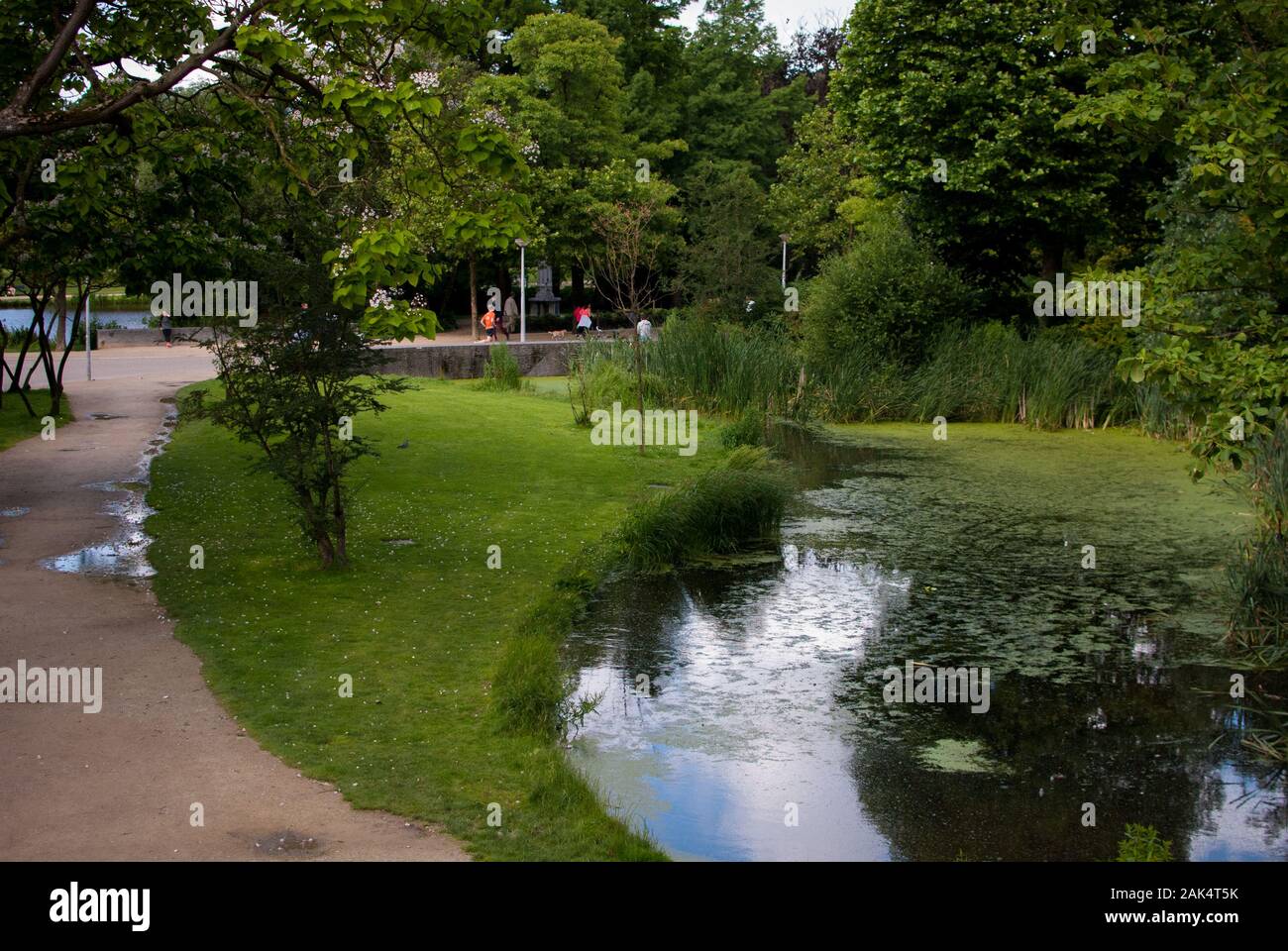 Lago, sentiero, area verde in una giornata estiva Foto Stock Lago, sentiero, area verde in una giornata estiva Foto Stock
