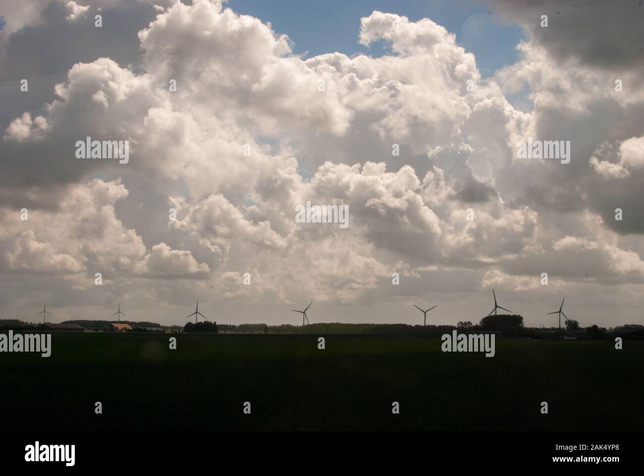 Il campo aperto con plantation con un cielo blu pieno di nuvole e alberi in background Foto Stock