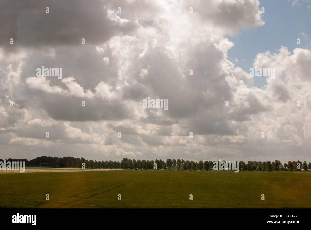 Il campo aperto con plantation con un cielo blu pieno di nuvole e alberi in background Foto Stock