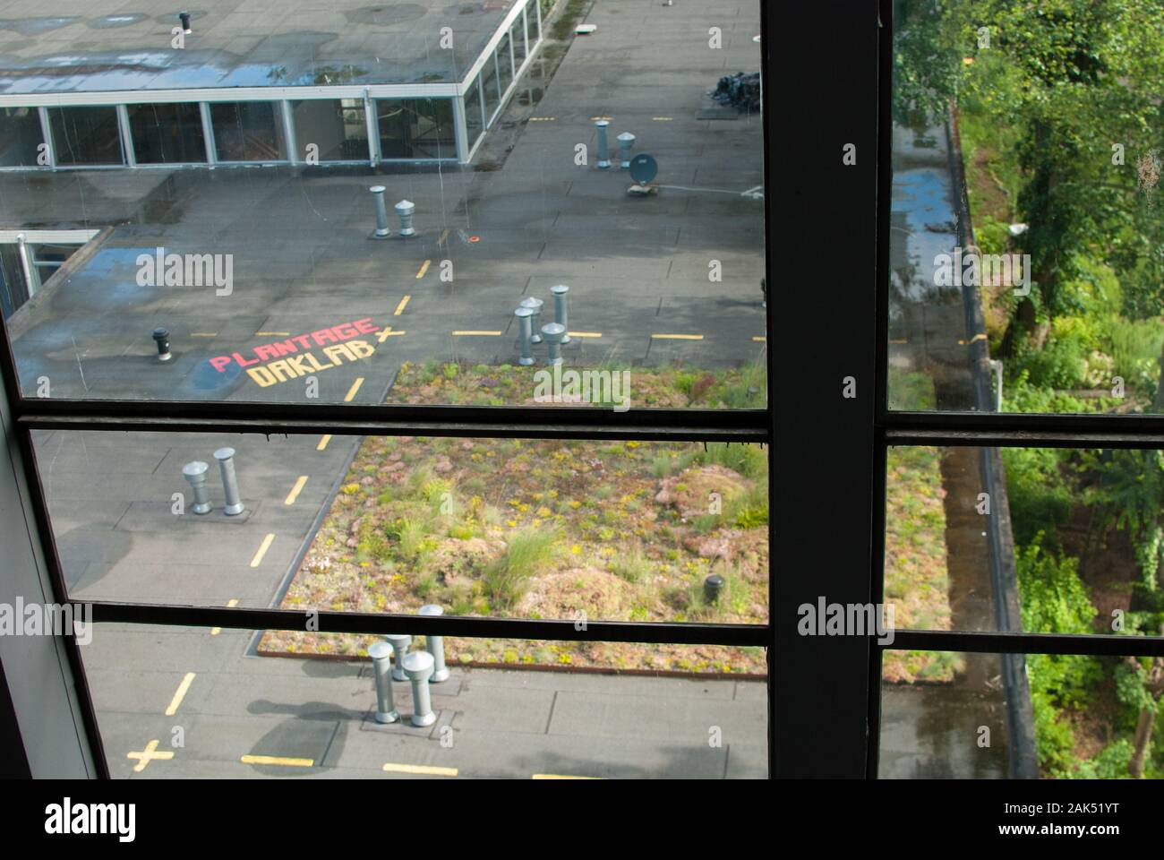 Guardando attraverso la finestra e vedere fino al tetto di un giardino urbano Foto Stock