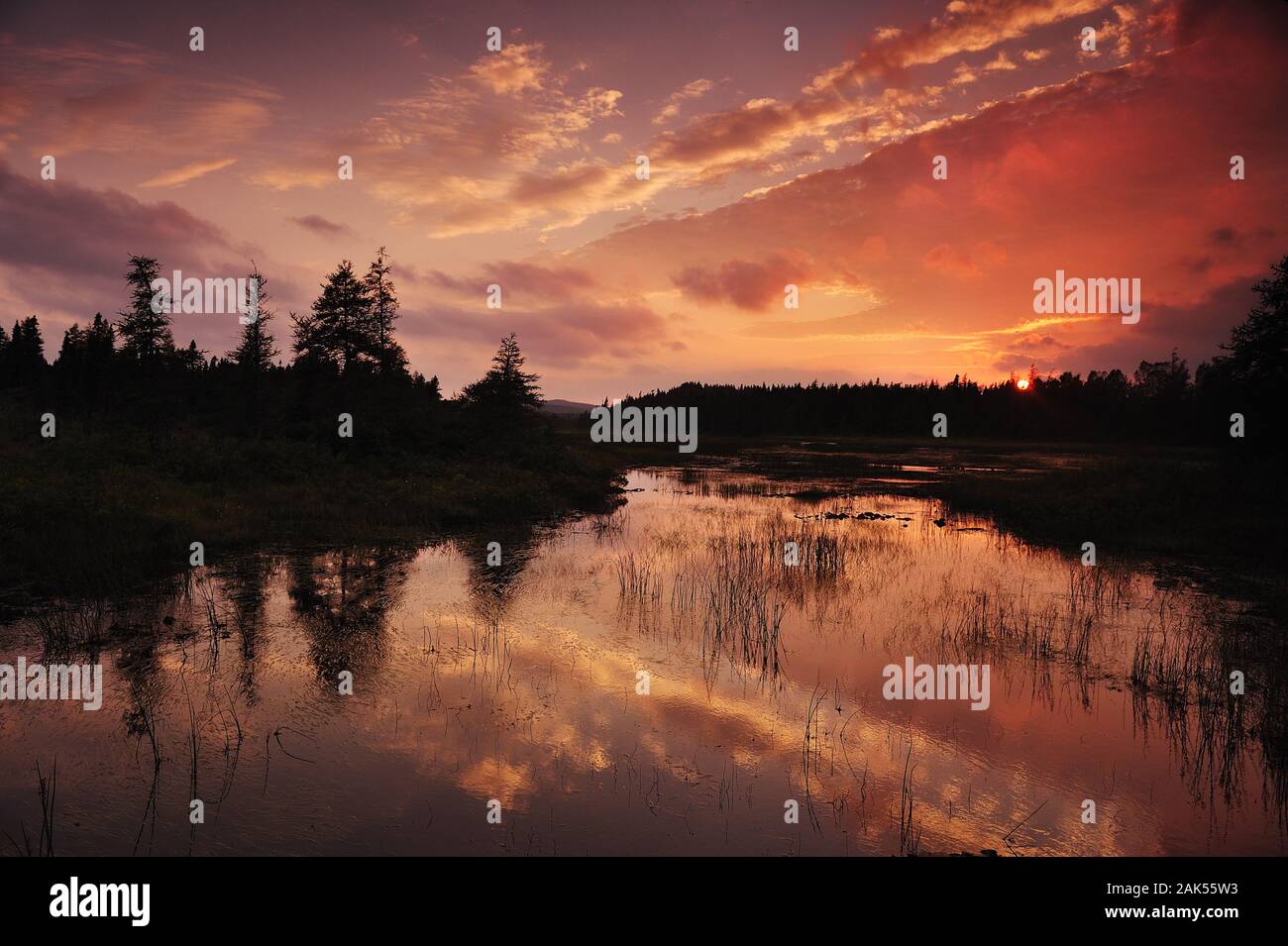Neufundland: Sonnenuntergang in Eastport, Kanada Osten | Utilizzo di tutto il mondo Foto Stock