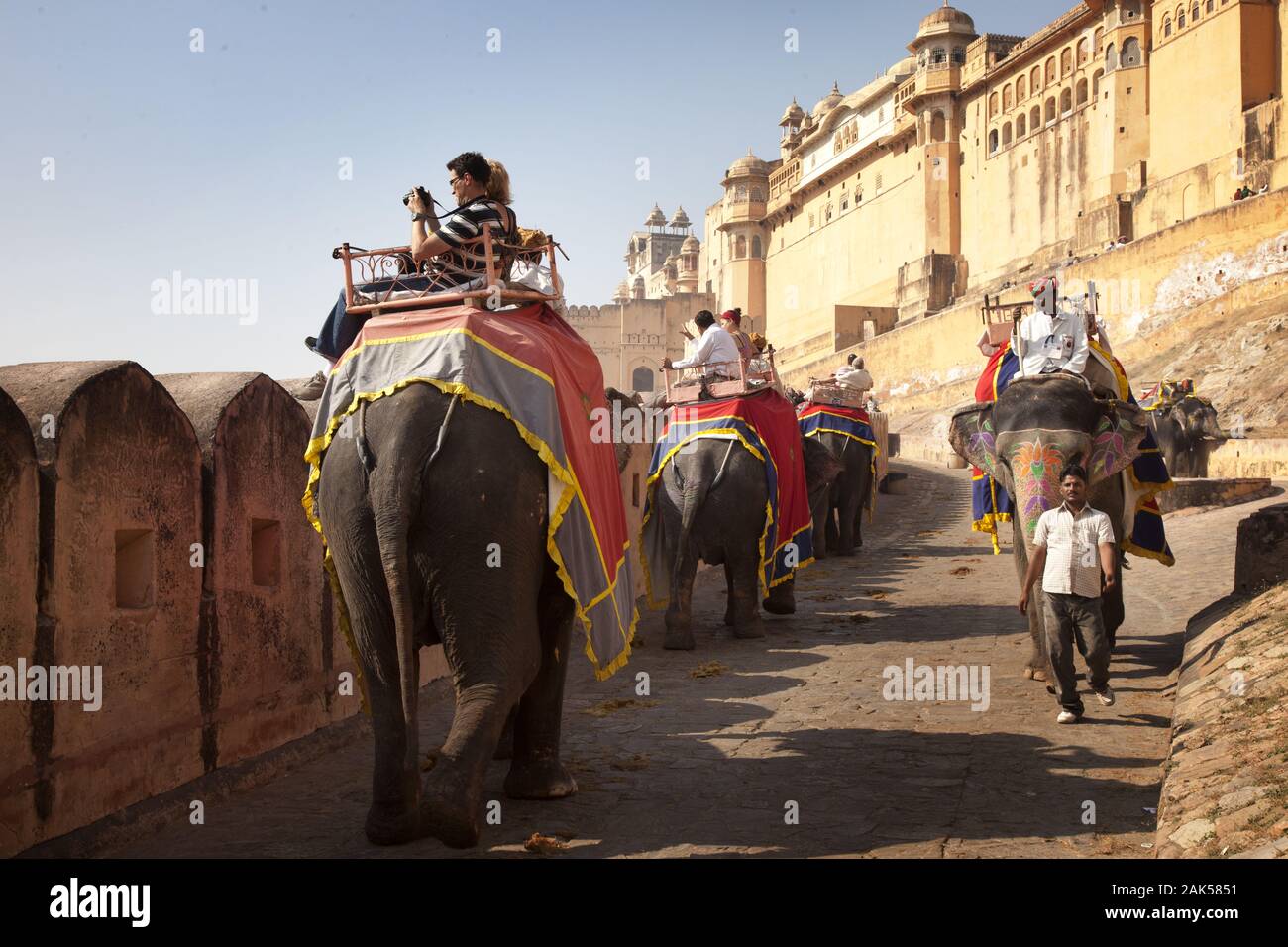 Bundesstaat Rajasthan: festlich geschmueckte Elefanten vor dem Fort Amber a Jaipur, Indien | Utilizzo di tutto il mondo Foto Stock