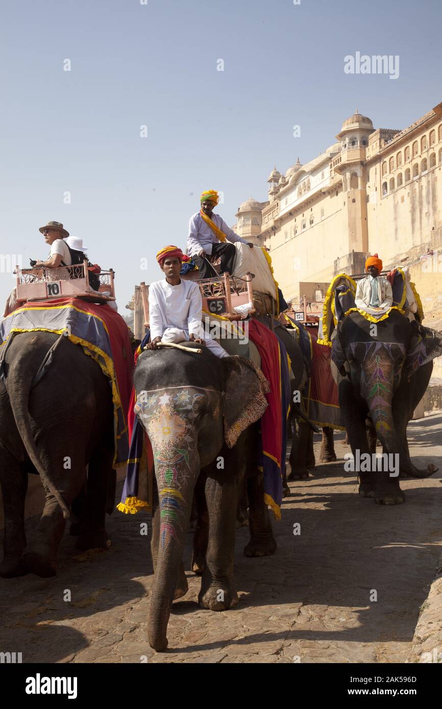 Bundesstaat Rajasthan: festlich geschmueckte Elefanten vor dem Fort Ambra, Indien | Utilizzo di tutto il mondo Foto Stock