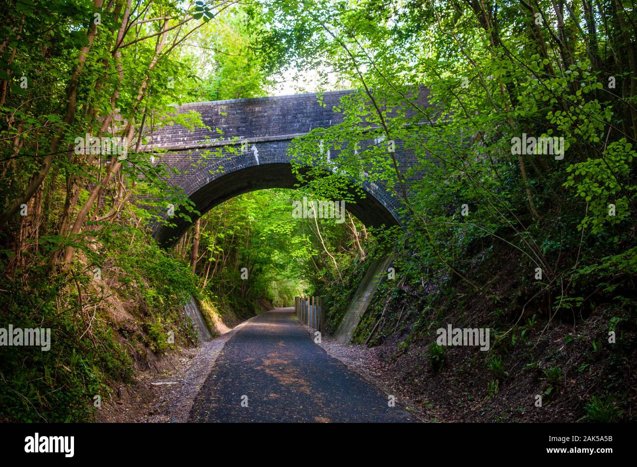 Un antico arco in mattoni ponte attraversa la valle Loncombe, ad una stazione di taglio costruito per il Somerset e Dorset ferroviarie e ora fa parte di due gallerie Greenway Foto Stock