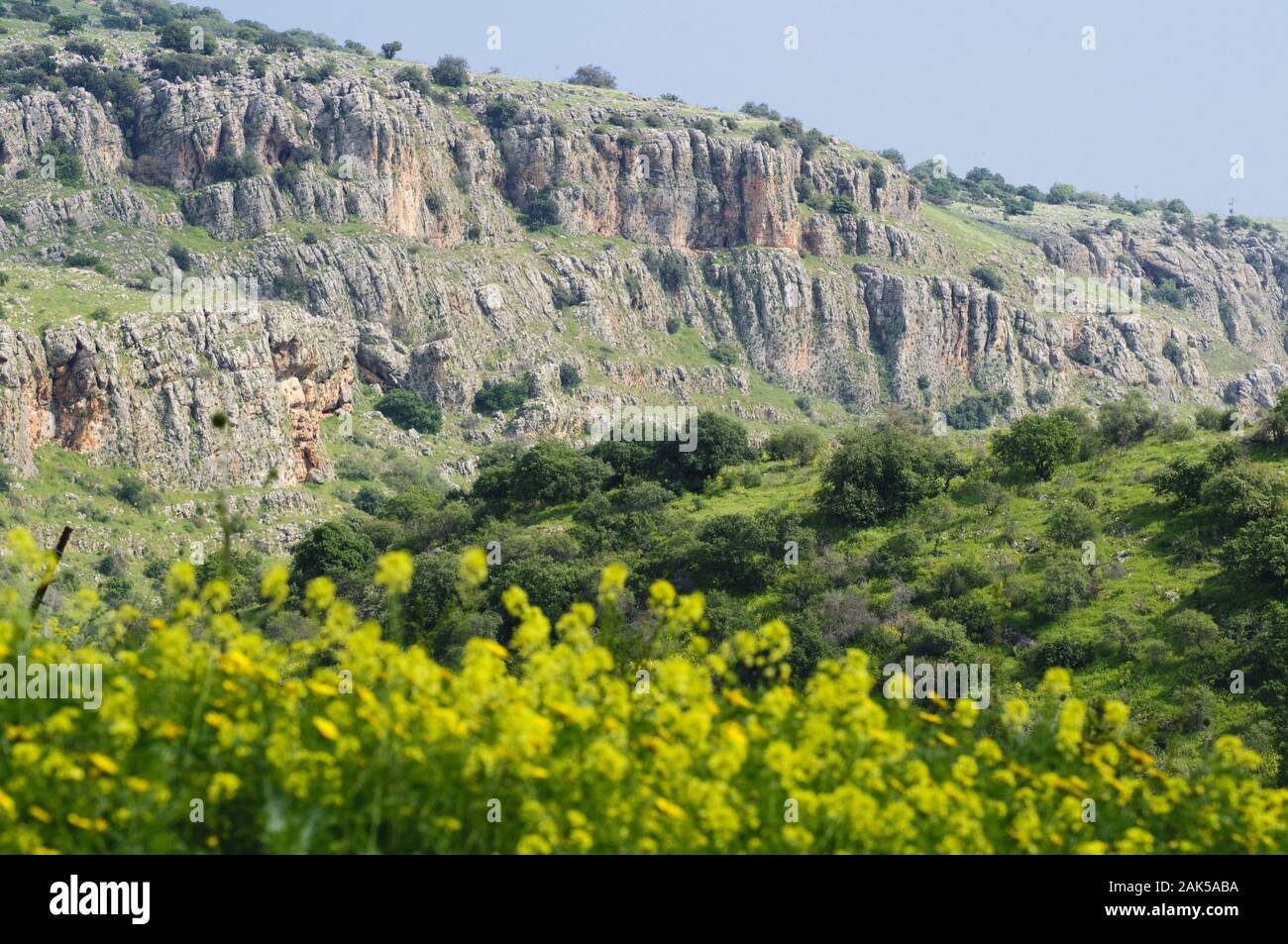 Fruehlingslandschaft unweit des vedere Genezareth, Israele | Utilizzo di tutto il mondo Foto Stock