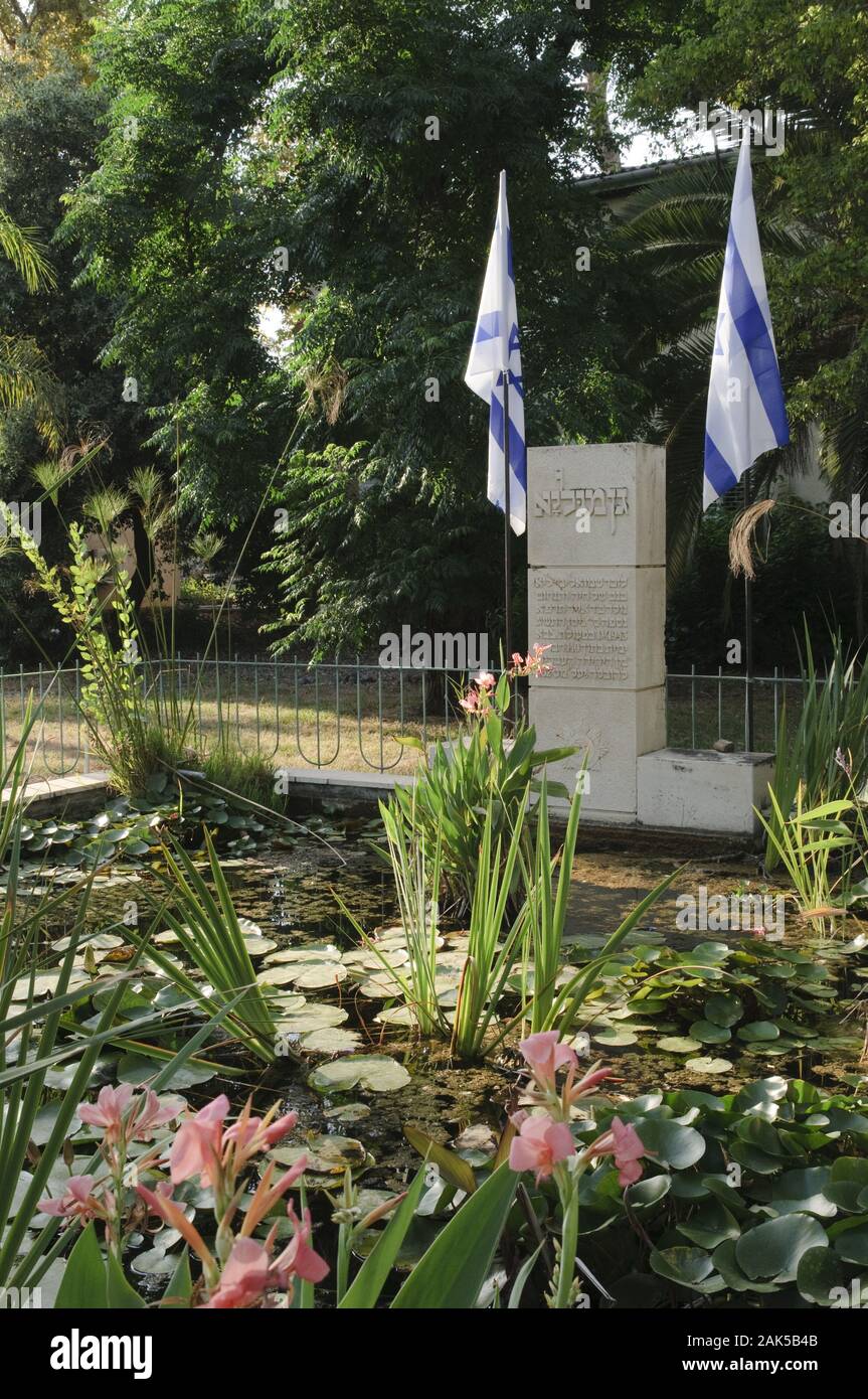 Kibbuz Deganya am vedere Genezaretz, Israele | Utilizzo di tutto il mondo Foto Stock