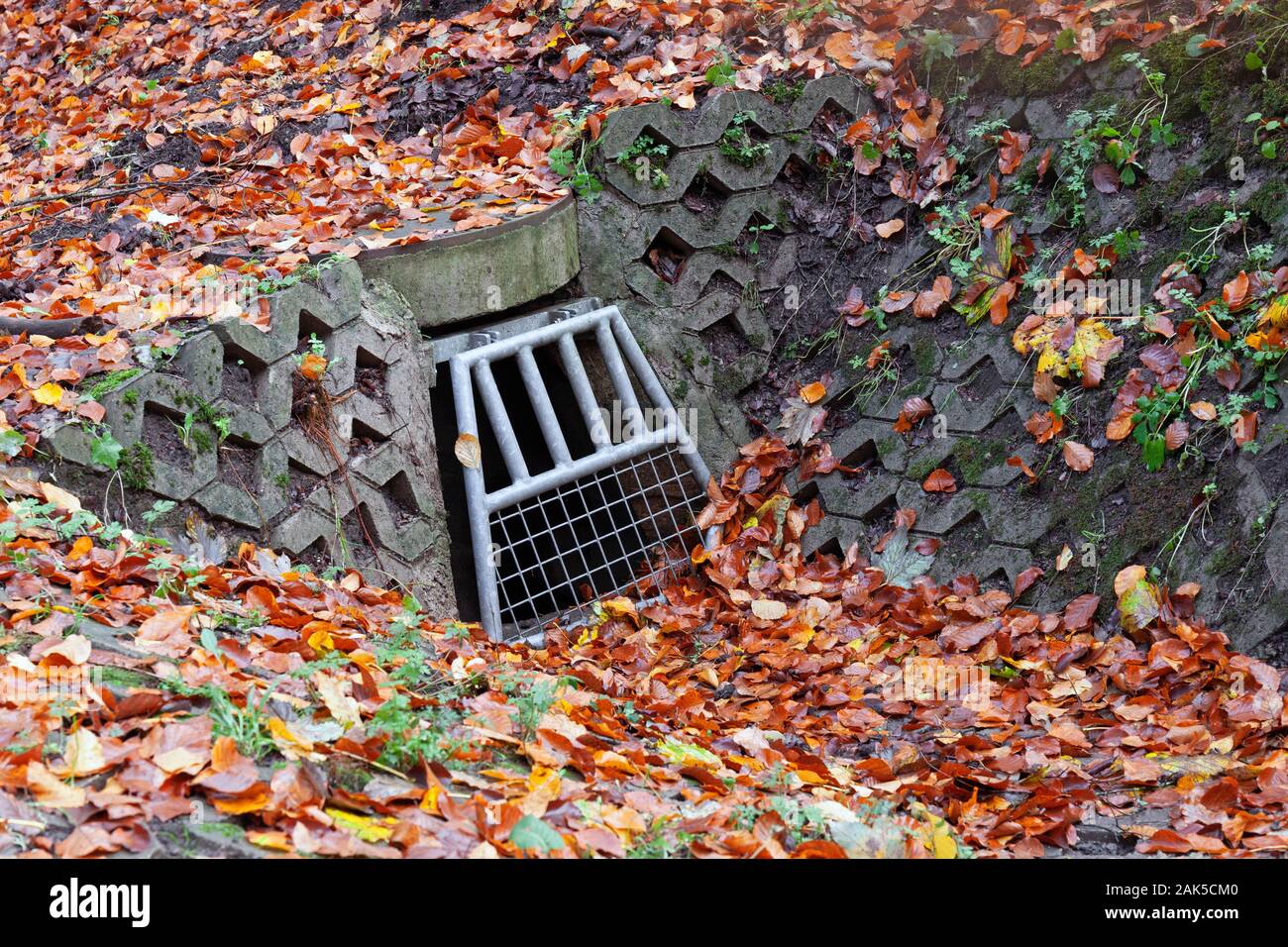 L'Europa, Lussemburgo, Strada coperchio di scarico con foglie di autunno Foto Stock