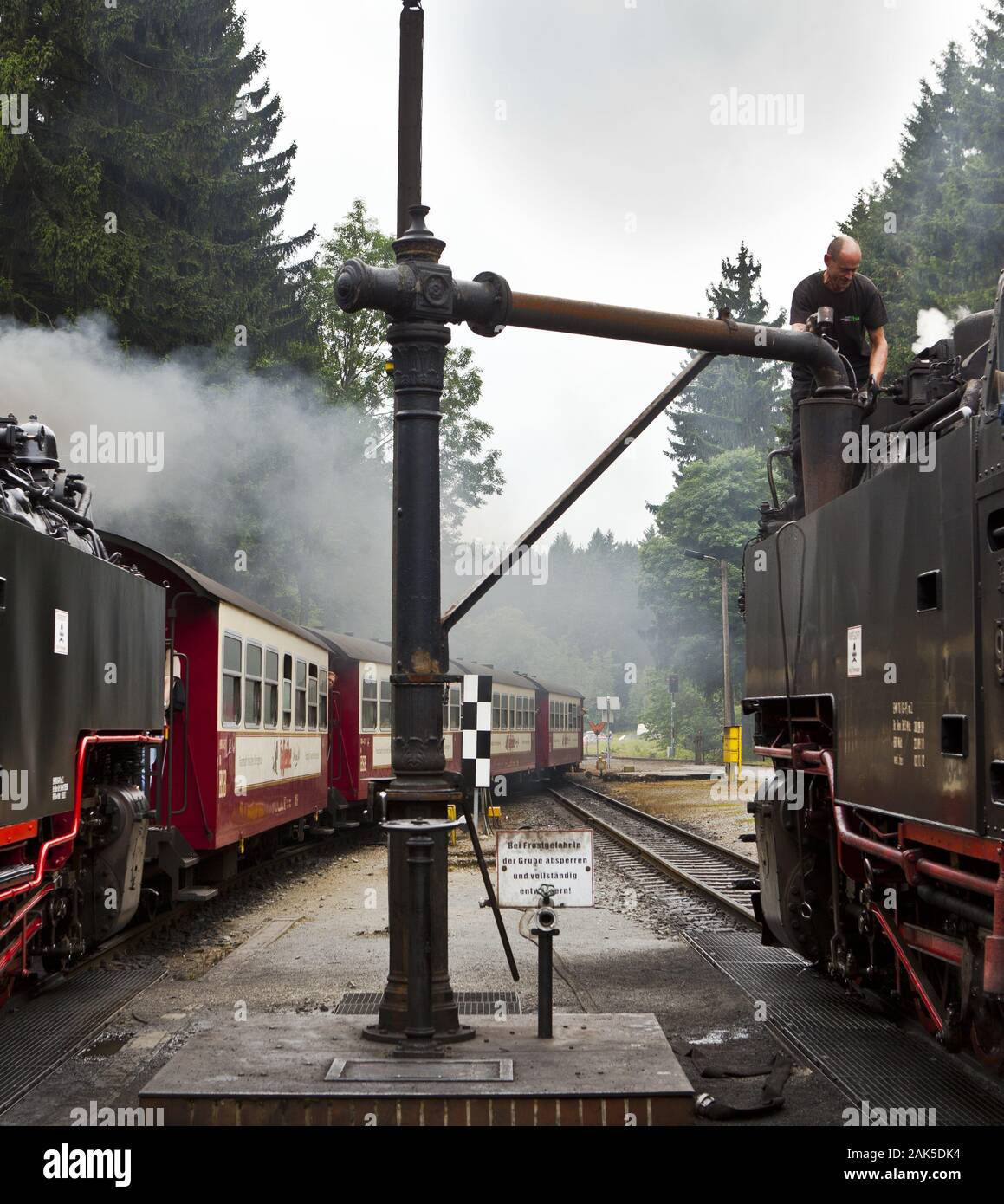 Eisenbahnstrecke der Harzer Schmalspurbahnen: Brockenbahn von Drei Annen Hohne ueber Schierke zum Brocken, Harz | Utilizzo di tutto il mondo Foto Stock