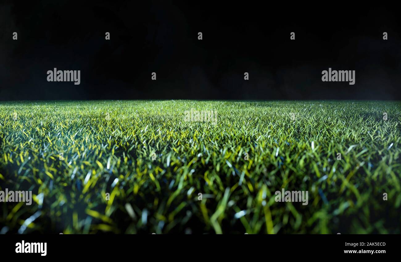 Basso angolo vista attraverso la tagliate erba verde di un prato o campo sportivo di tenebrose luce della sera per utilizzare come immagine di sfondo Foto Stock