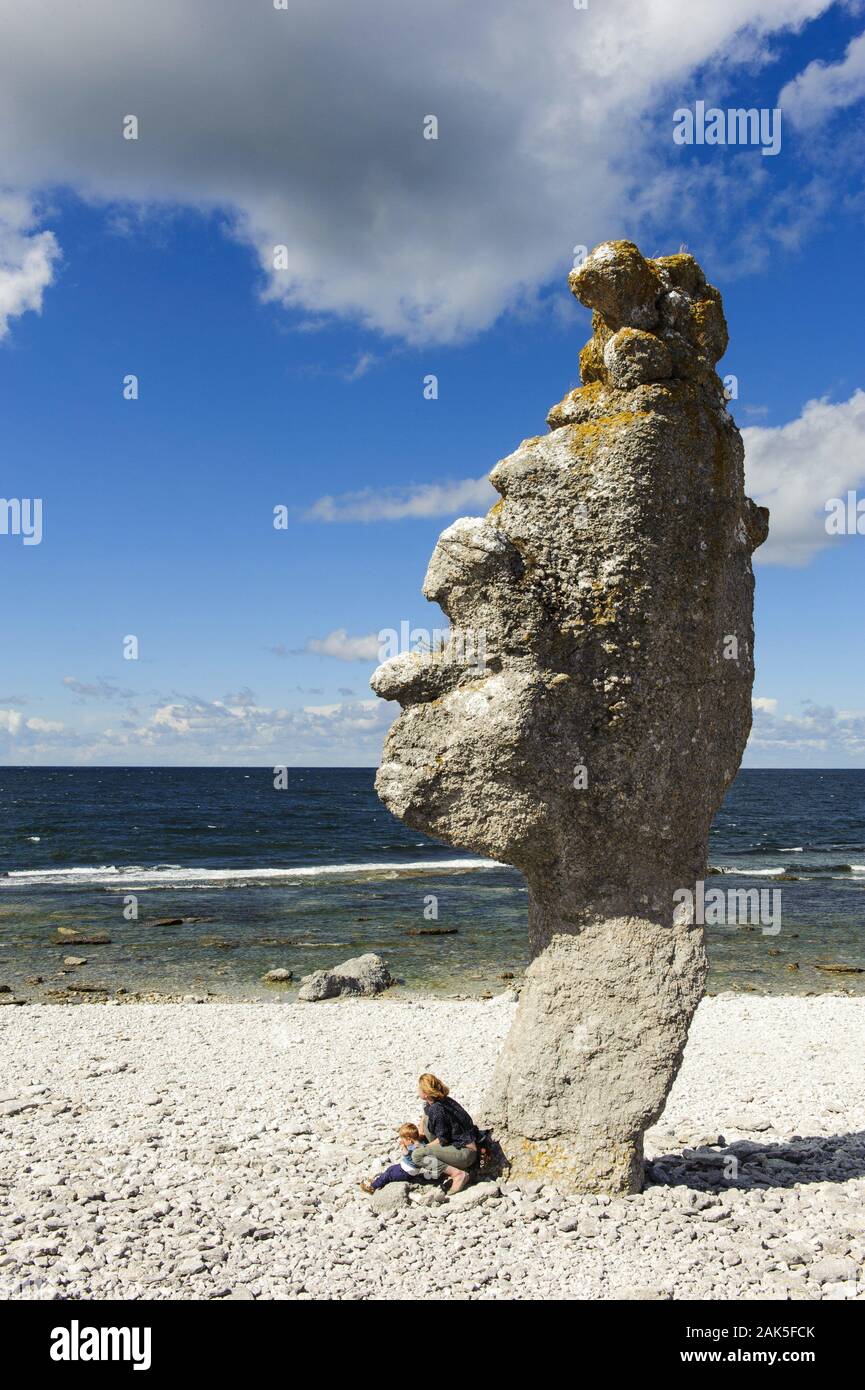 Insel Gotland: Naturreservat Gamlahamn, Felsenkueste mit Steinformation, Schweden Sueden | Utilizzo di tutto il mondo Foto Stock