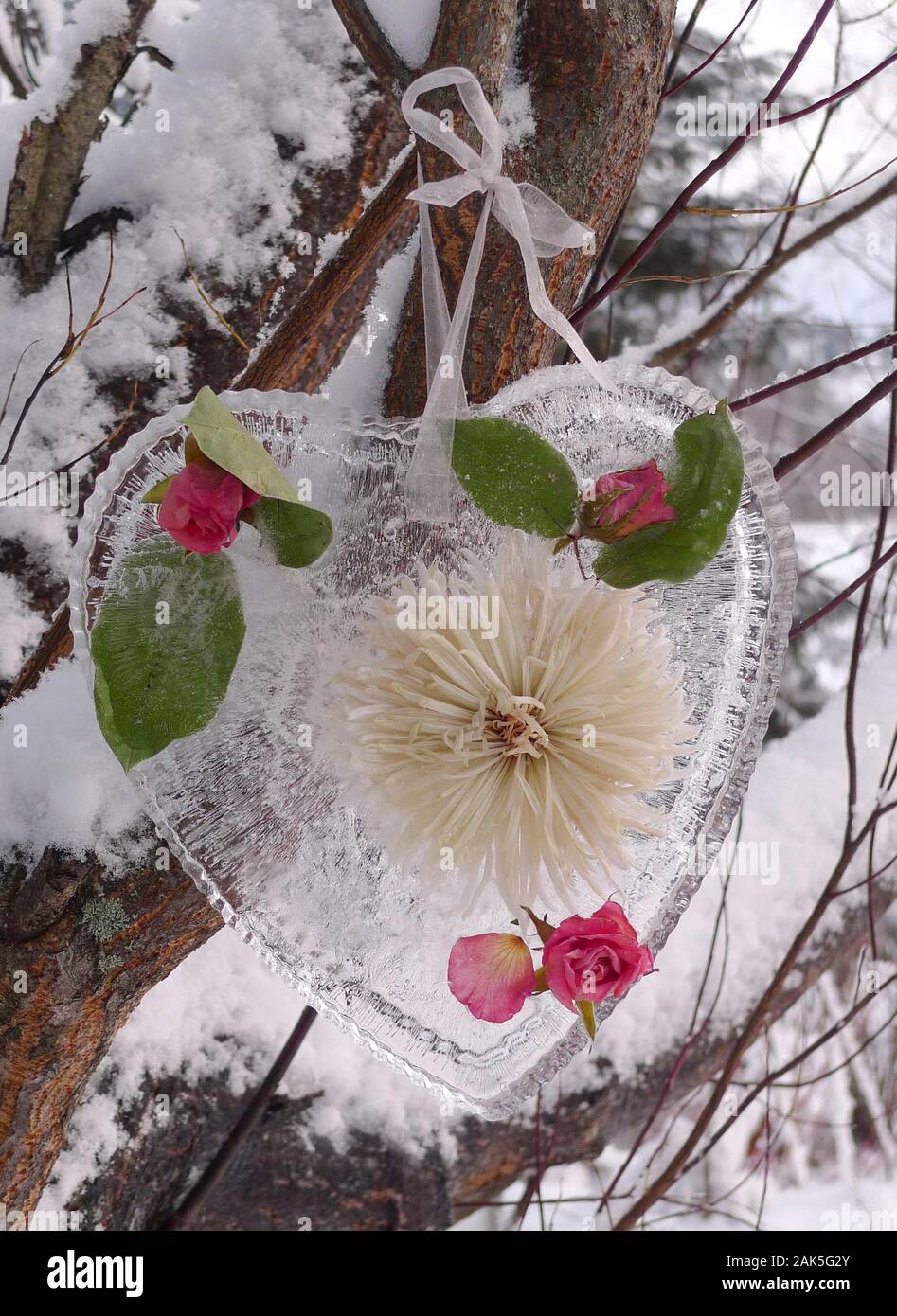 Cuore di ghiaccio con fiori congelati Foto Stock