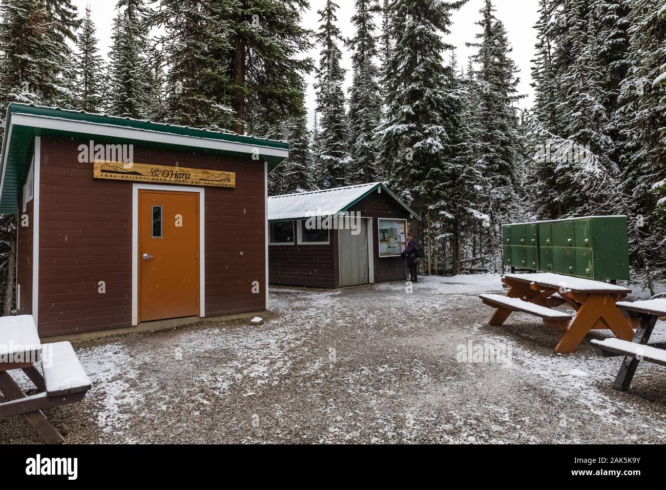 Tavoli da pic-nic, cibo armadietti di deposito, e si riscalda la capanna in lago O'Hara campeggio nel settembre nel Parco Nazionale di Yoho, British Columbia, Canada Foto Stock