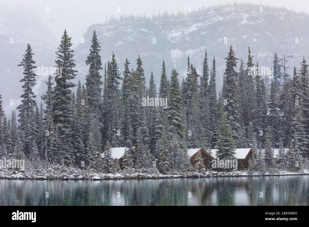 Cabine di Lago O'Hara Lodge in caduta neve settembre nel Parco Nazionale di Yoho, British Columbia, Canada Foto Stock