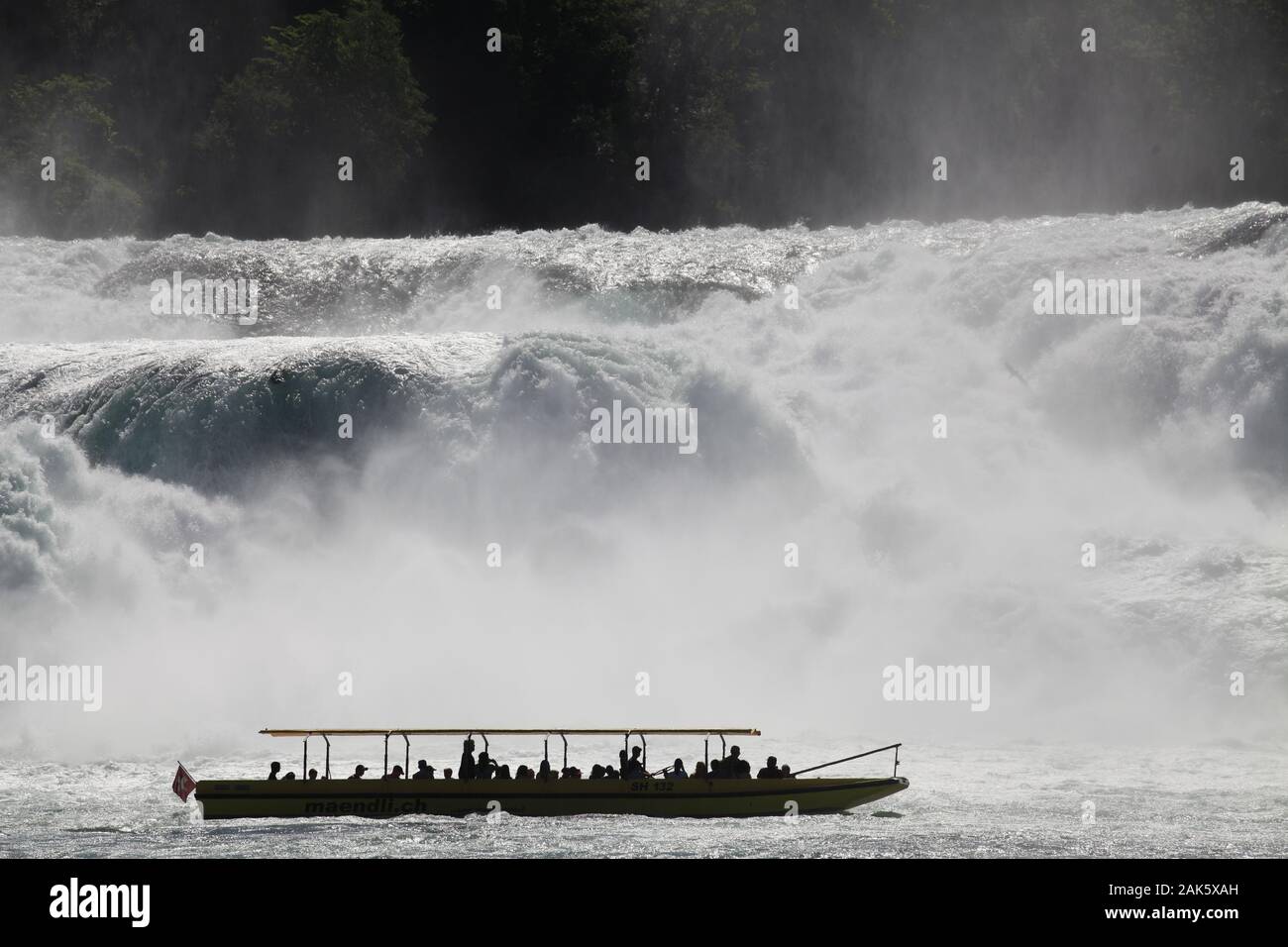 Sciaffusa: Touristenboot am Rheinfall, Bodensee | Utilizzo di tutto il mondo Foto Stock