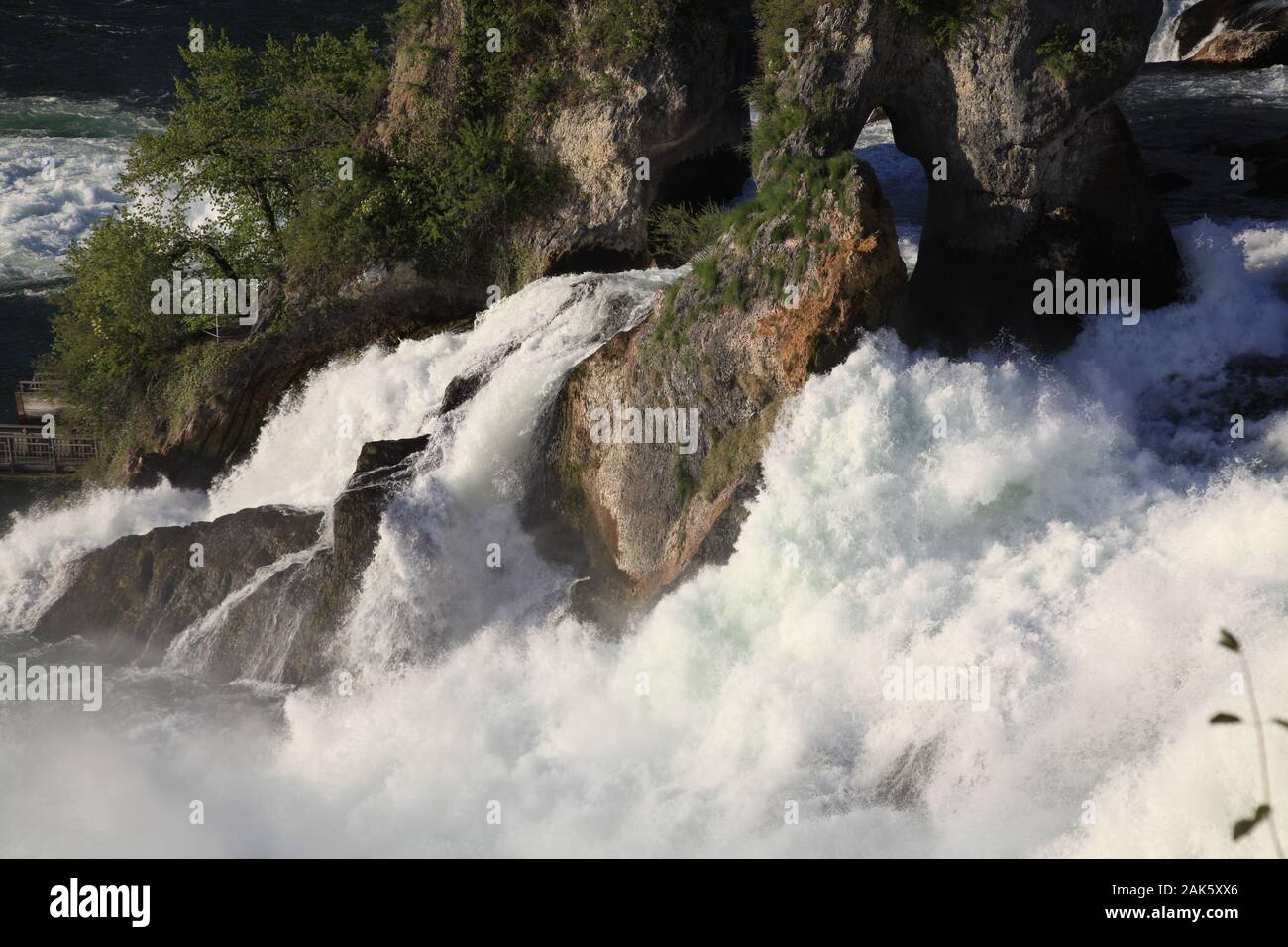 Sciaffusa: Rheinfall, Bodensee | Utilizzo di tutto il mondo Foto Stock
