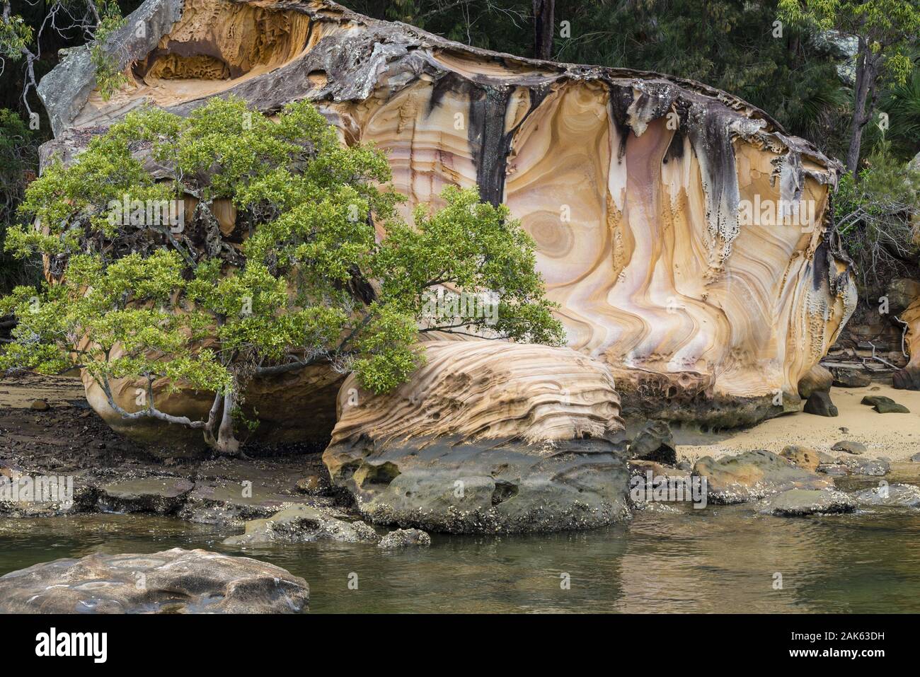 Nuovo Galles del Sud: Brooklyn, Sandsteinfelsen am Fiume Hawkesbury, Australien Osten | Utilizzo di tutto il mondo Foto Stock