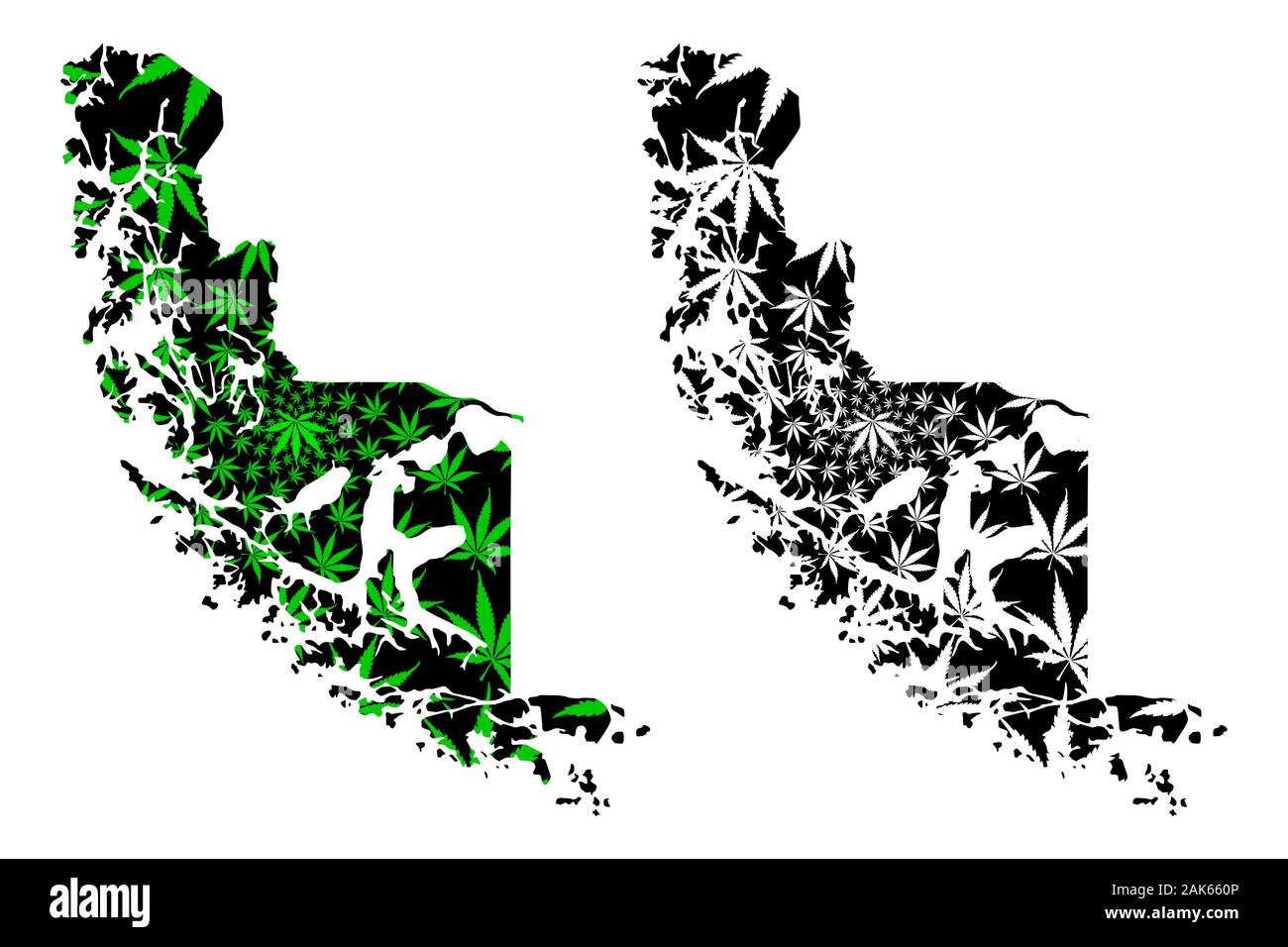 Regione di Magallanes (Repubblica del Cile) Mappa è progettato Cannabis leaf verde e nero, Magallanes e Antartide cilena mappa fatta di marijuana (marihuan Illustrazione Vettoriale