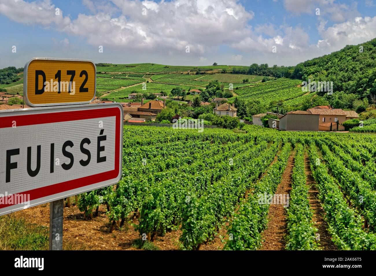 Vigneti a Fuissé nella regione della Borgogna Francia centrale. Foto Stock
