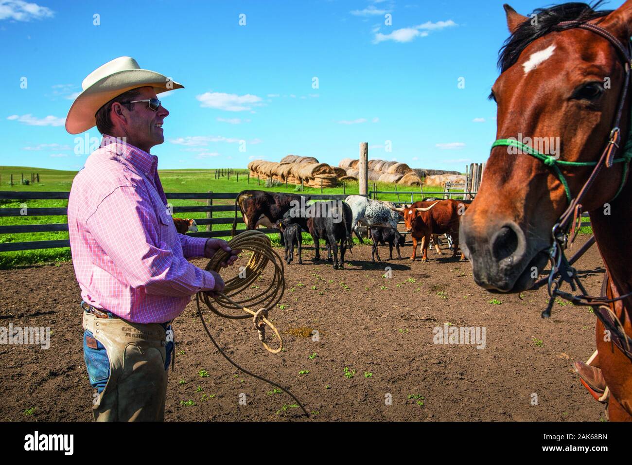 Saskatchewan: Kyle, 'La Reata Ranch' am Saskatoon River, Kanada Westen | Utilizzo di tutto il mondo Foto Stock