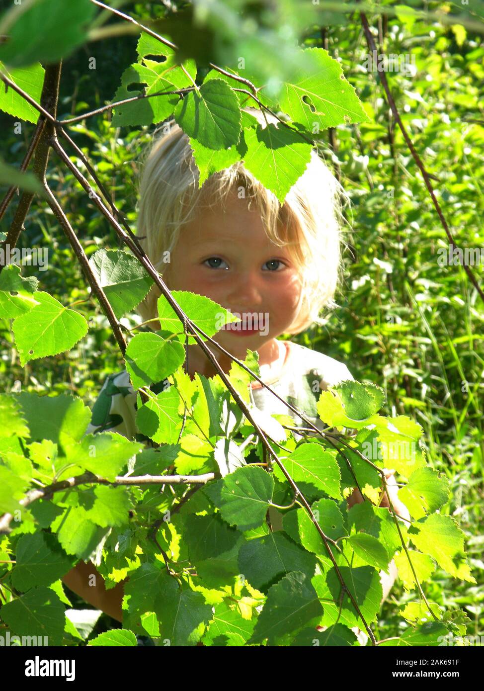 Ragazzo che si nasconde dietro le foglie di betulla Foto Stock