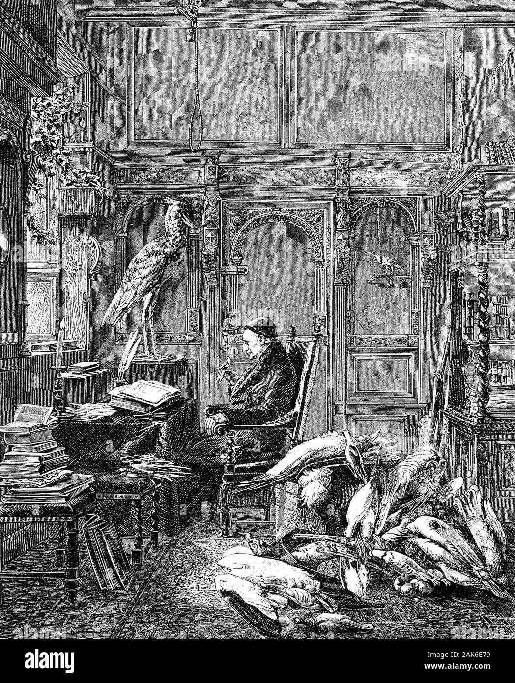 Alfred Edmund Brehm, 1829-1884, era uno zoologo tedesco e autore, xilografia dal 1864 Foto Stock