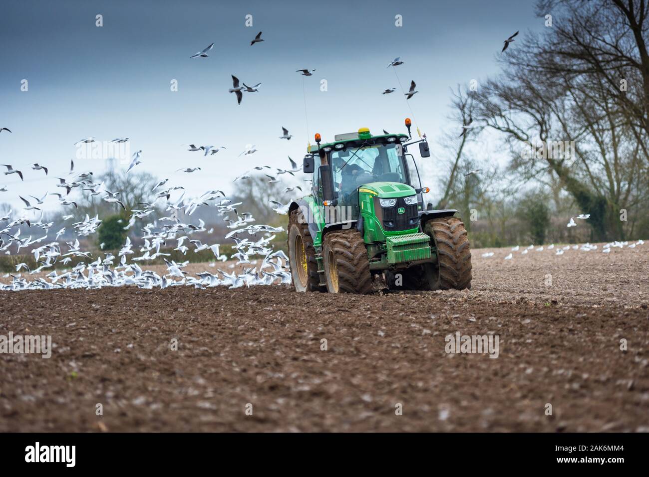 John Deere trattore verde aratura su il Nottinghamshire Lincolnshire, Regno Unito. Foto Stock