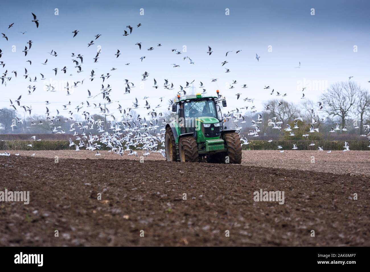 John Deere trattore verde aratura su il Nottinghamshire Lincolnshire, Regno Unito. Foto Stock