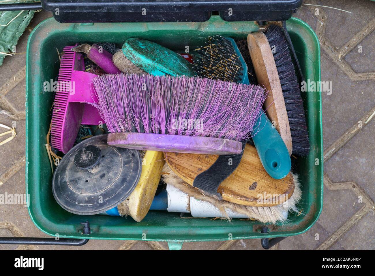Green box di plastica riempito di una pila di vecchi, colorato, usurata spazzole per la toelettatura cavalli - Vista dall'alto in basso, piana, laici formato orizzontale Foto Stock