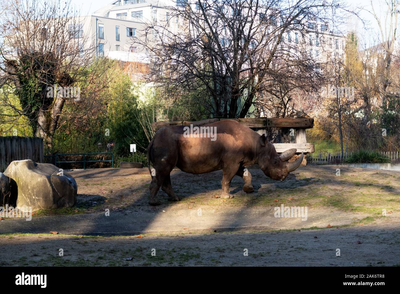 Gli animali selvatici e paesaggi allo zoo di Francoforte sul Meno Germania Foto Stock