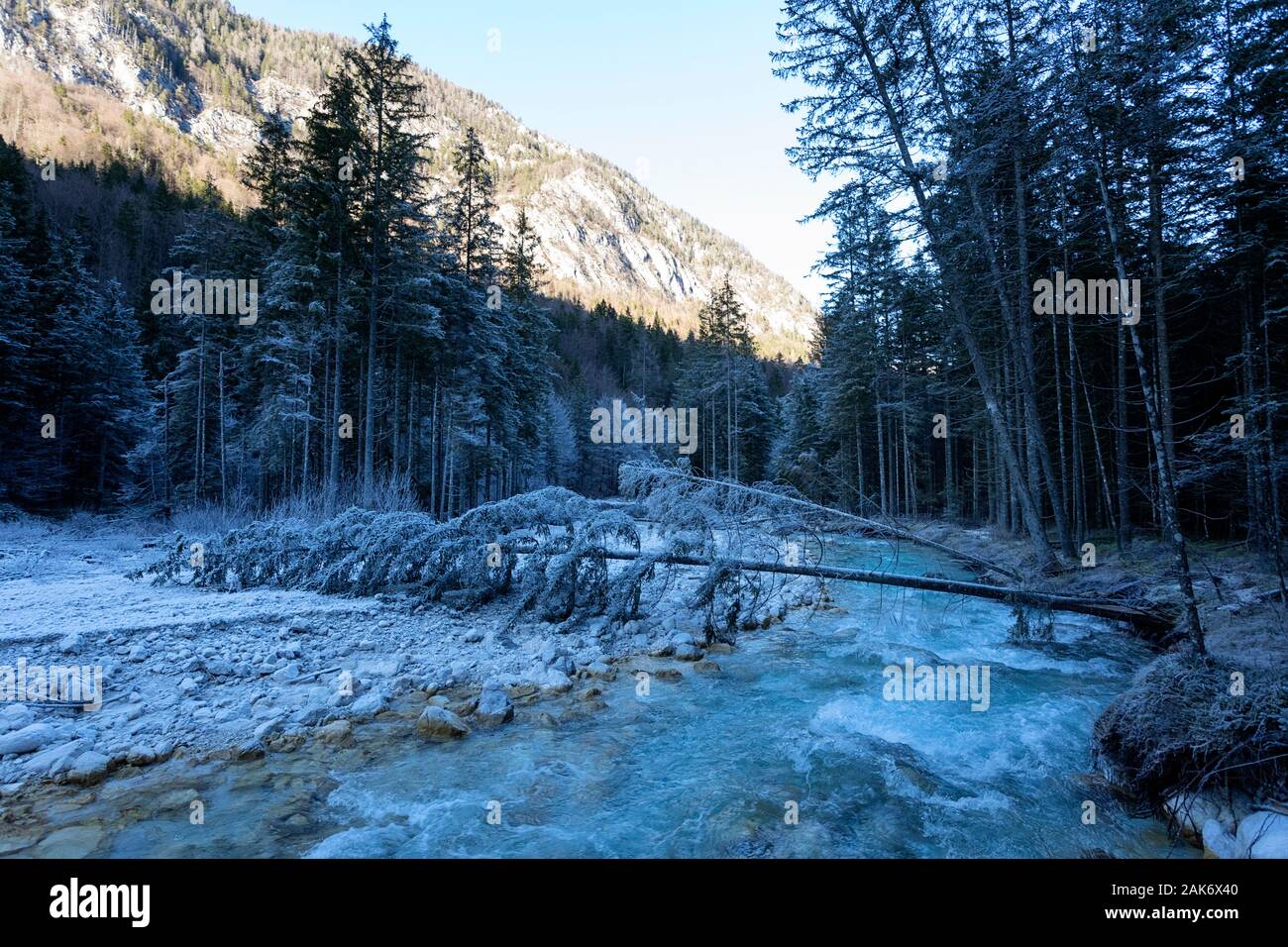 Paesaggio invernale sul fiume nella valle mozzafiato di Vrata, alpi Giulie, Slovenia Foto Stock