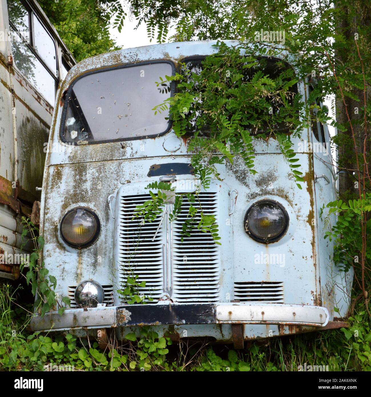 Un vecchio distrutto e obsoleti abandonned carrello nel mezzo della campagna, nella natura Foto Stock