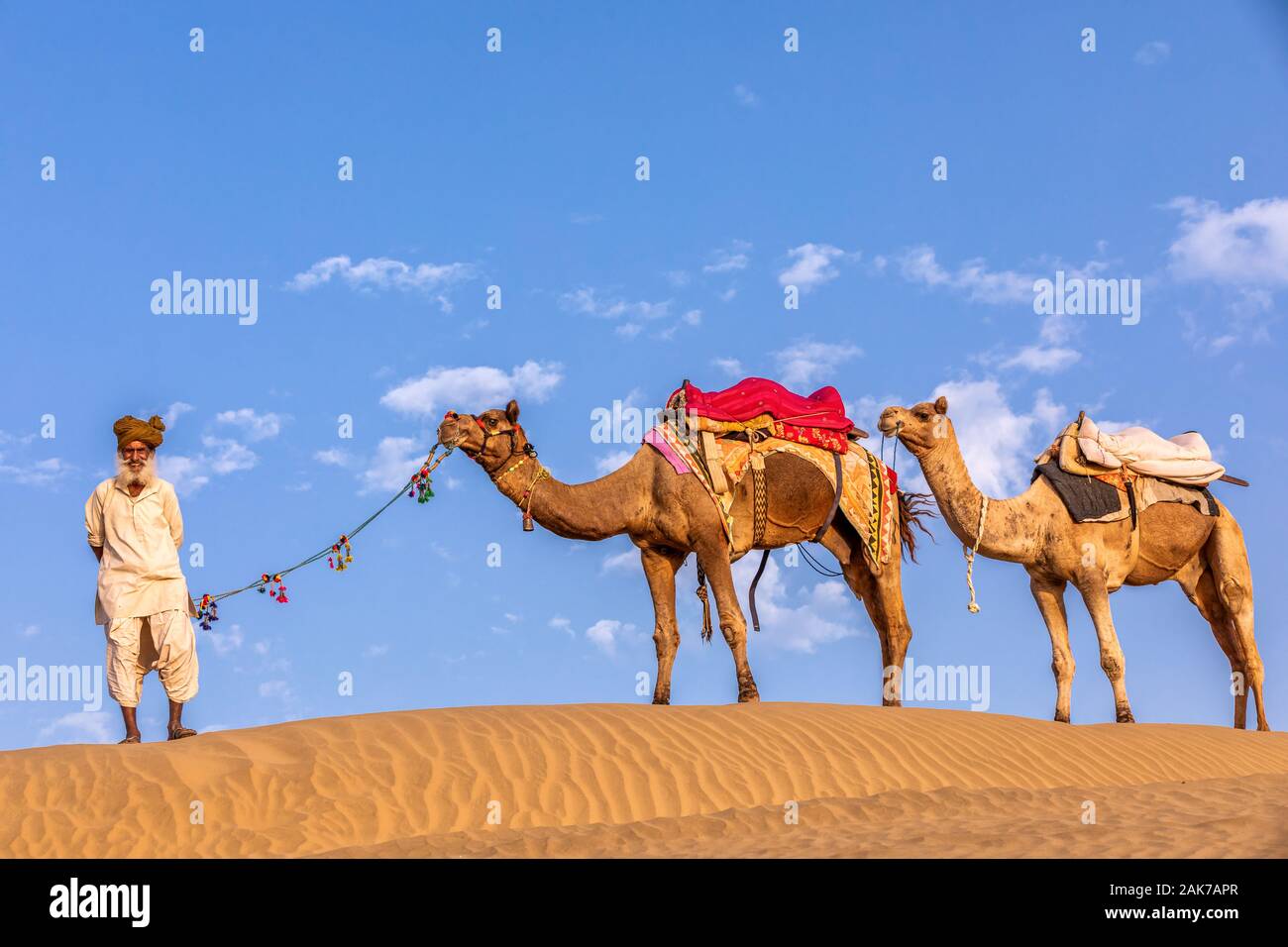 Un uomo vecchio con i suoi cammelli, deserto di Thar, Rajasthan, India Foto Stock