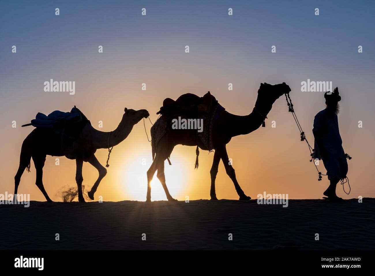 Silhouette di un uomo a piedi con i suoi cammelli, deserto di Thar, Rajasthan, India Foto Stock