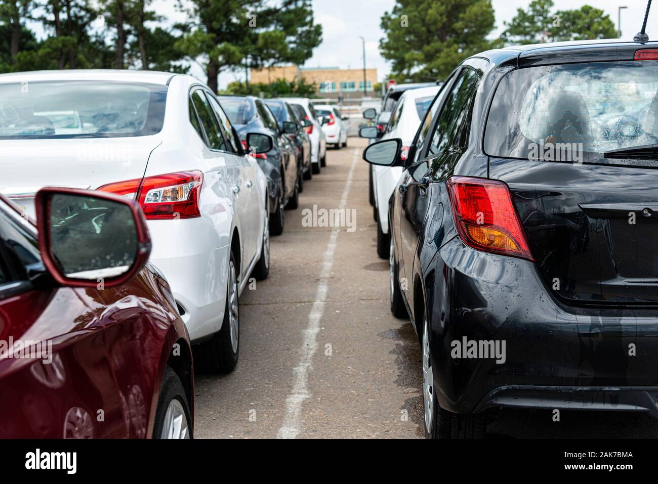 Inquadratura orizzontale di una linea di un blando automobili su una compagnia aerea agenzia di noleggio di parcheggio. Foto Stock