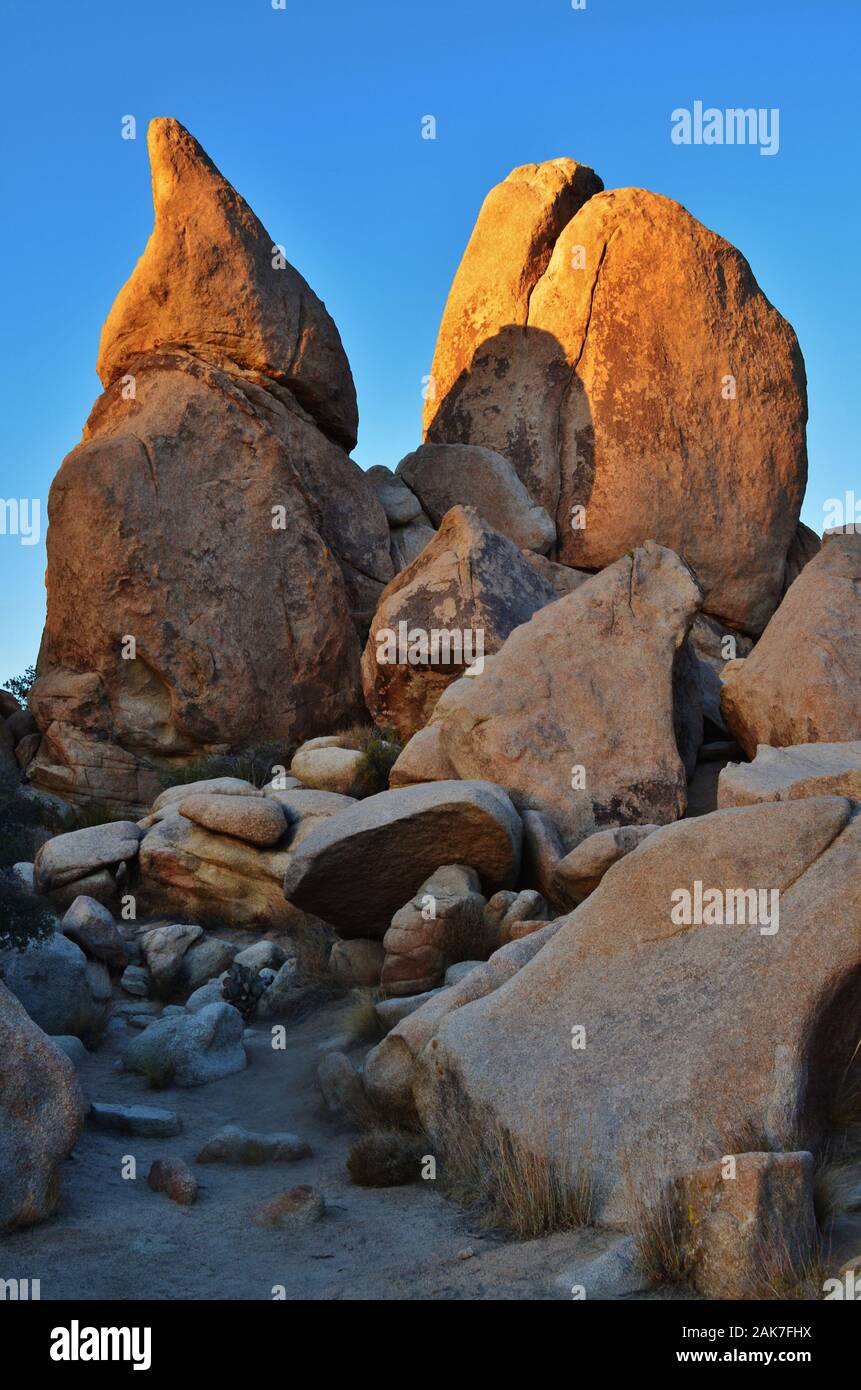 Joshua Tree National Park California USA Foto Stock