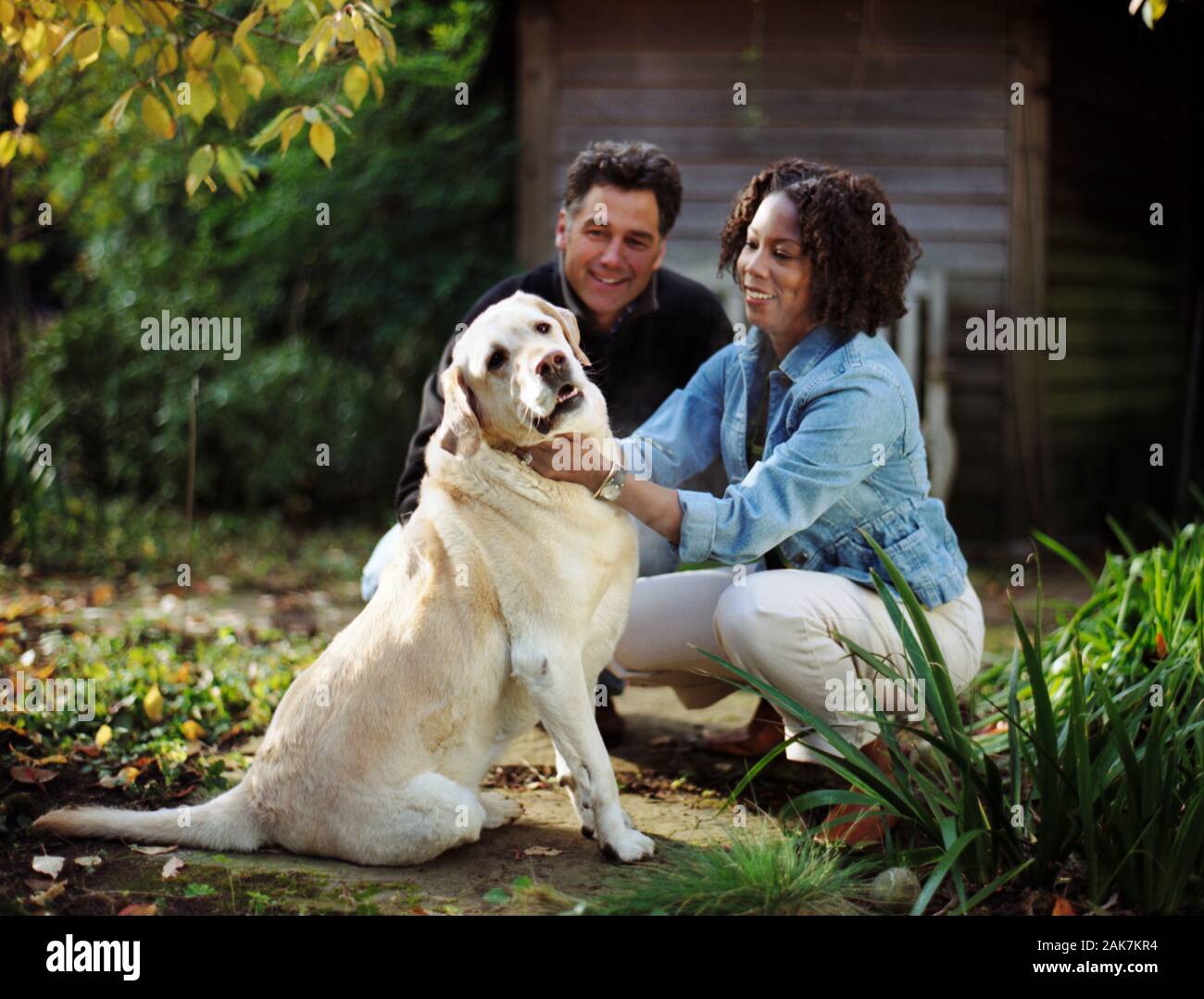 Felice mid-adulto giovane pacche il loro cane nel cortile di casa propria. Foto Stock