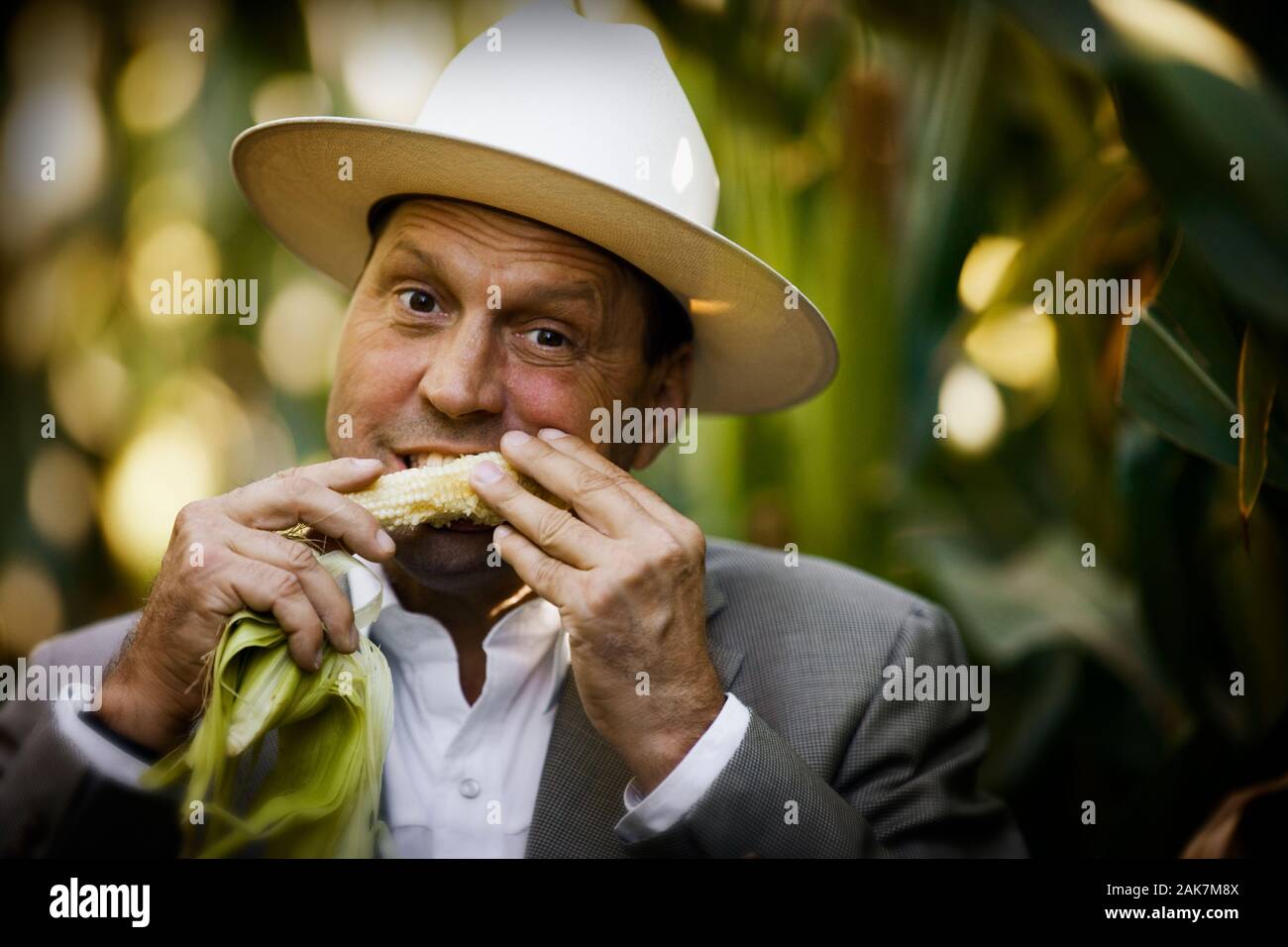 Uomo in campo di mais mangiare un orecchio di mais Foto Stock