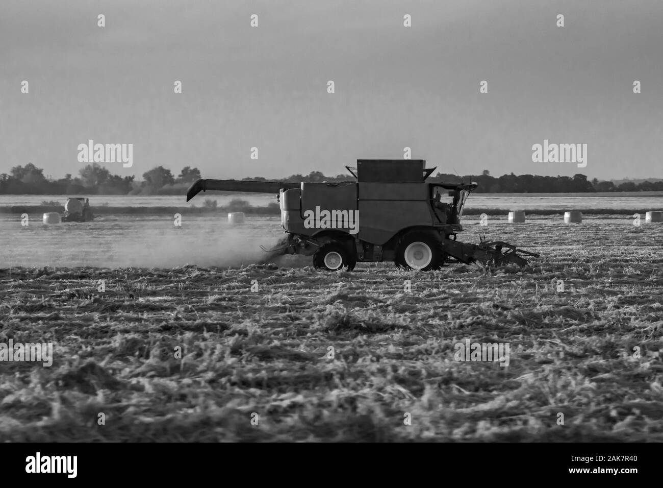 Un bianco e nero moody vista di una mietitrebbia occupato a lavorare su terreni arabili, trebbiatura del mais durante il raccolto nelle zone rurali Alberta, Canada. Con spazio di copia Foto Stock
