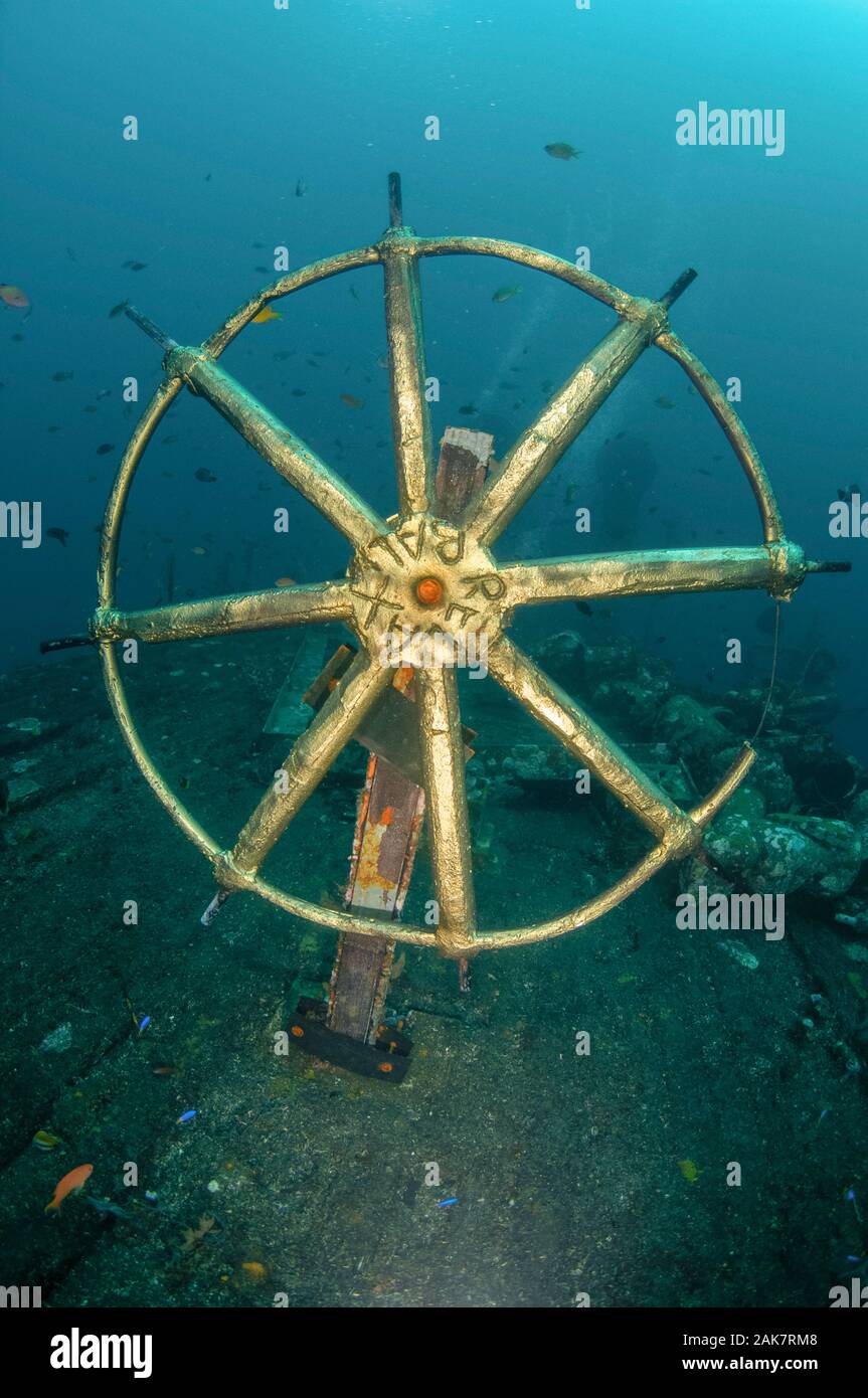 Nave Volante, Boga relitto sito, Tulamben, Bali, Indonesia, Oceano Indiano Foto Stock