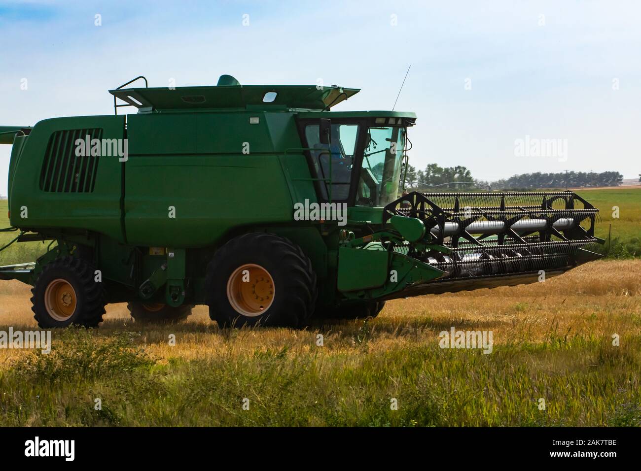 Una chiusura e la vista laterale di un ampio e verde mietitrebbia, dettagli della barra falciante, aspo e unità trebbiatrice, progettato per mietere il grano poliziotti Foto Stock