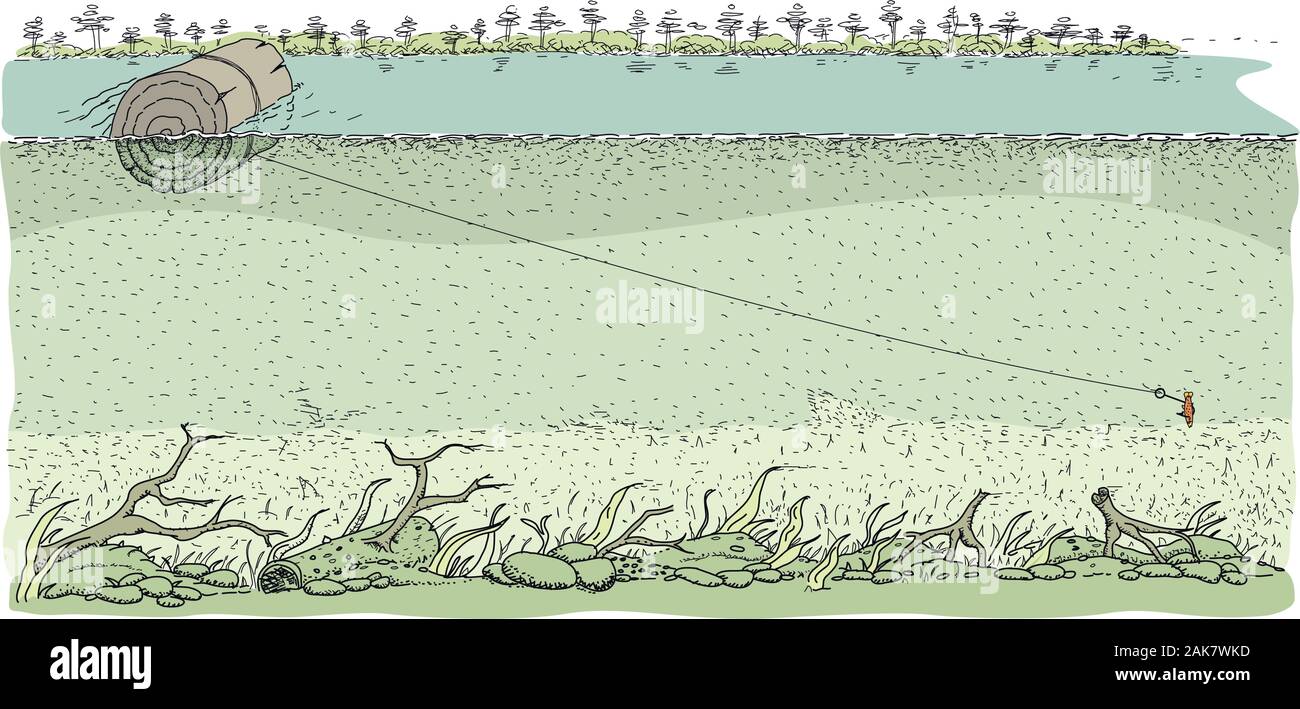 La pesca artigianale tecnica nel fiume chiamato boa: bloccare il gancio ed esca in un log di legno chiaro e lasciarlo galleggiare nel fiume. Immagine vettoriale Illustrazione Vettoriale