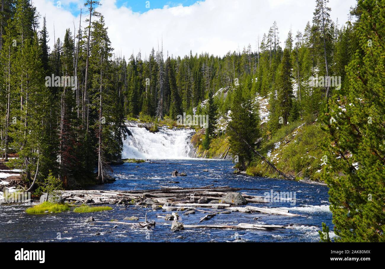 Un ampio panorama di Lewis rientra nel Parco Nazionale di Yellowstone mostra le dimensioni e la potenza delle Cascate e il fiume pieno di alberi caduti. Foto Stock