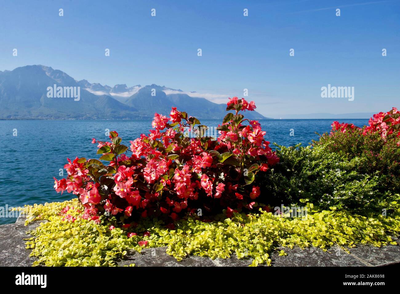 Il lago di Ginevra, Montreux, Canton Vaud, Svizzera. Foto Stock