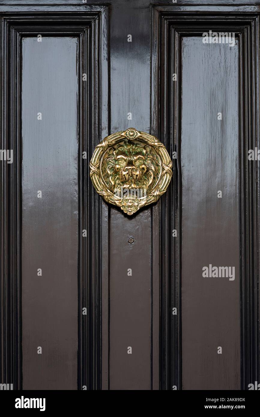 Ottone testa Leone porta respingente su un nero porta di casa. Londra, Inghilterra Foto Stock